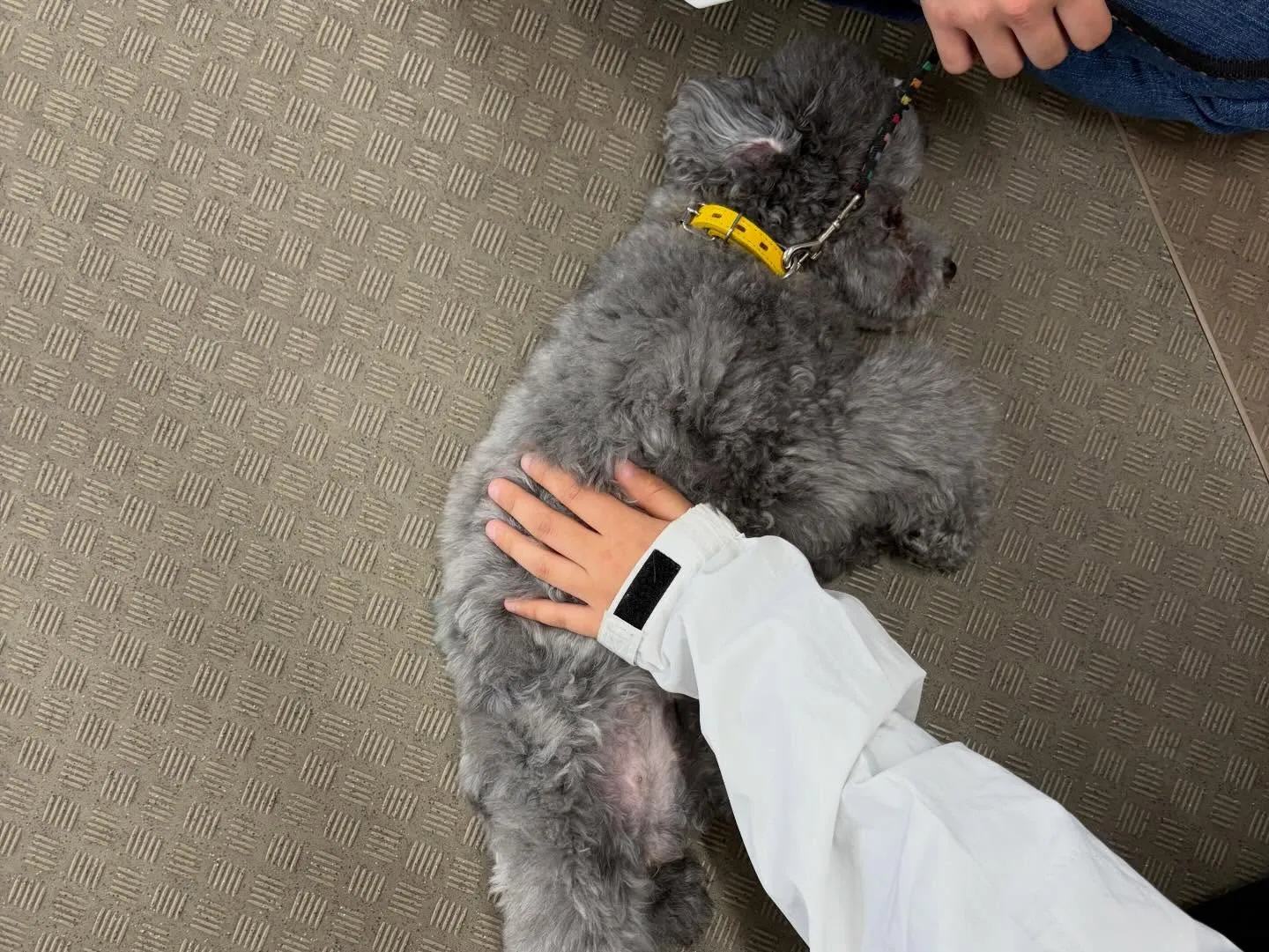 今日は今年度初学校、初授業でした🏫