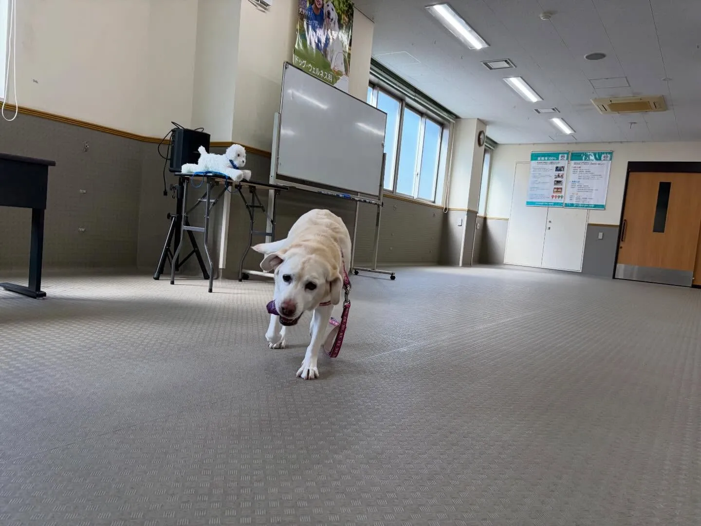 今日は今年度初学校、初授業でした🏫