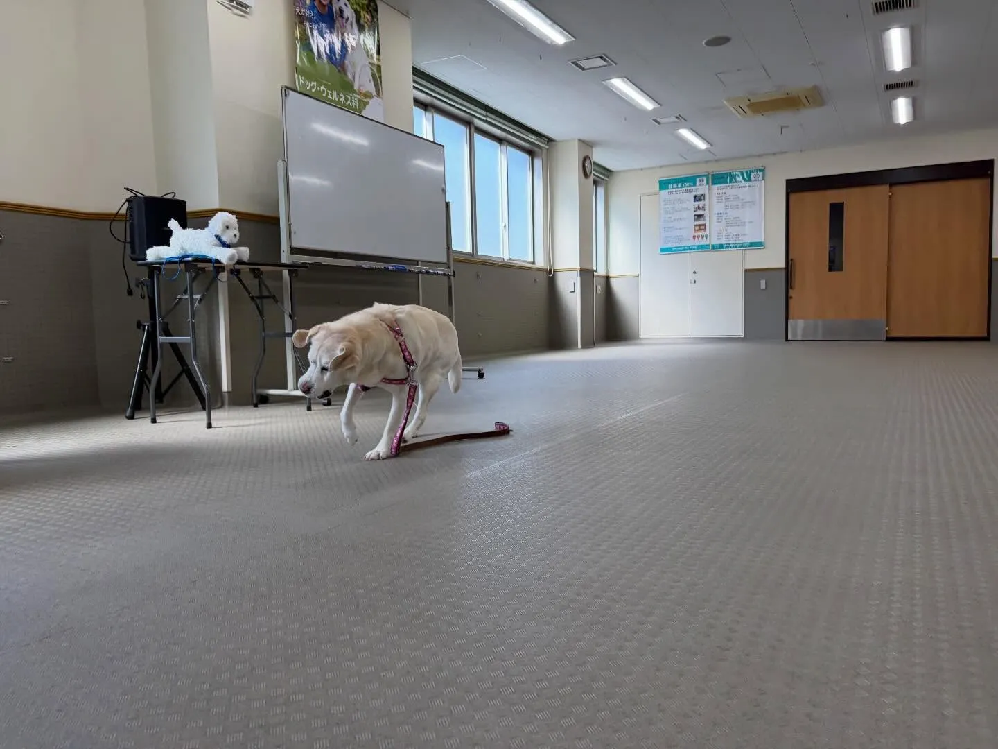 今日は今年度初学校、初授業でした🏫