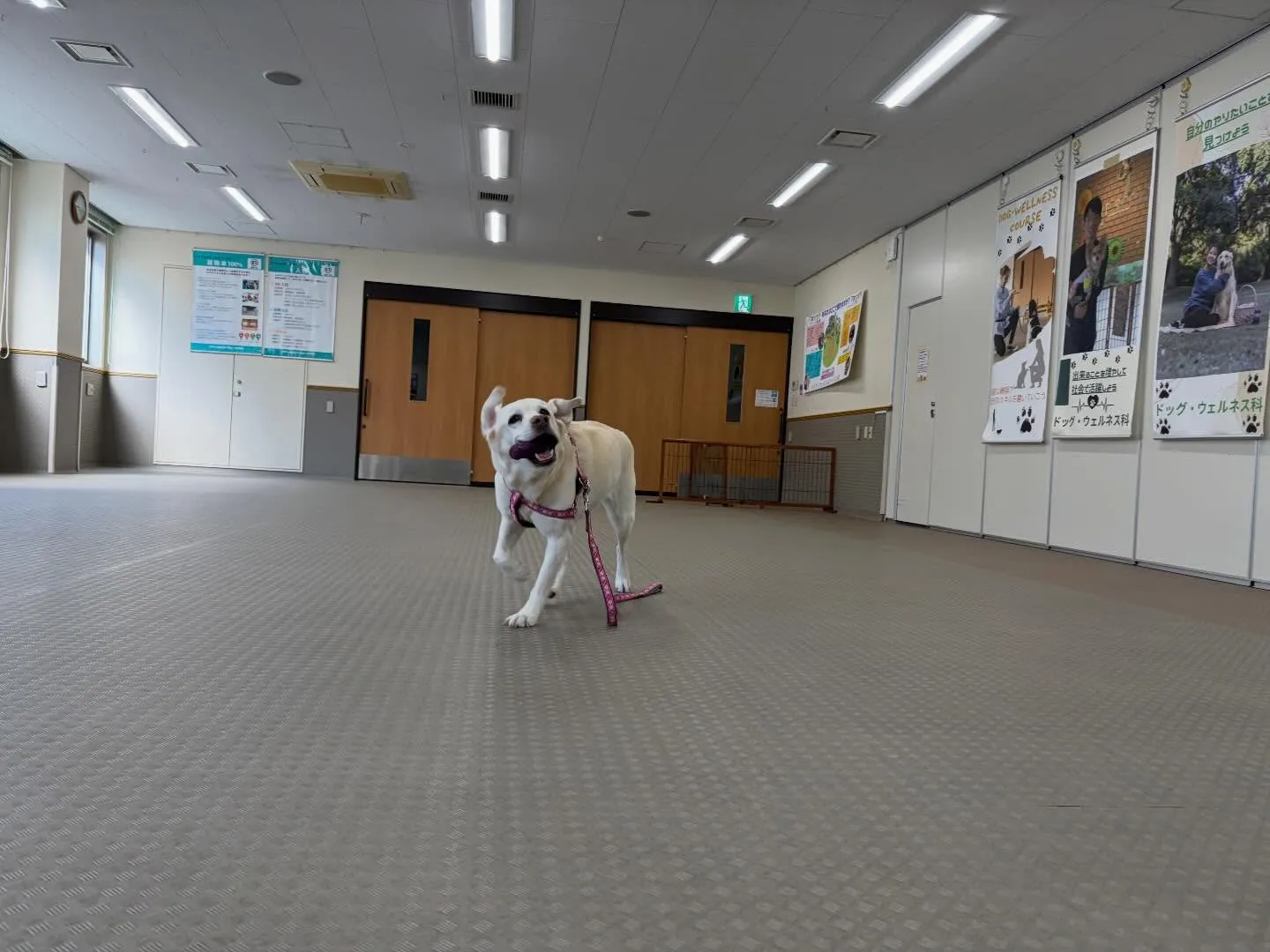 今日は今年度初学校、初授業でした🏫