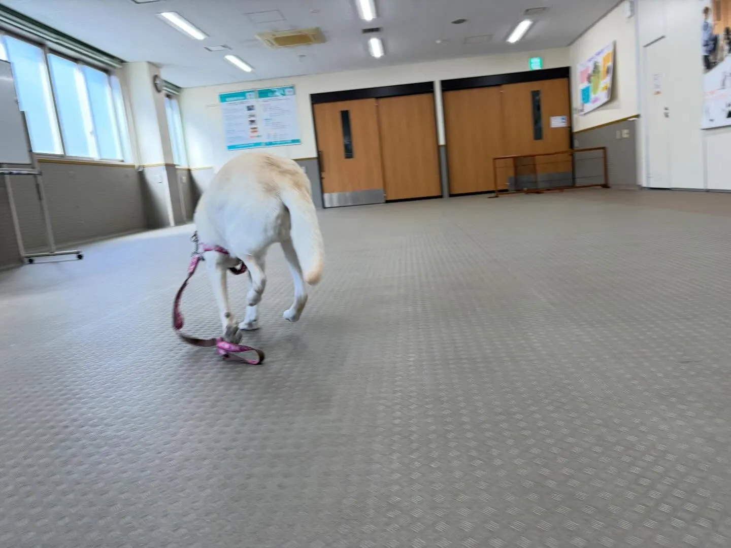 今日は今年度初学校、初授業でした🏫