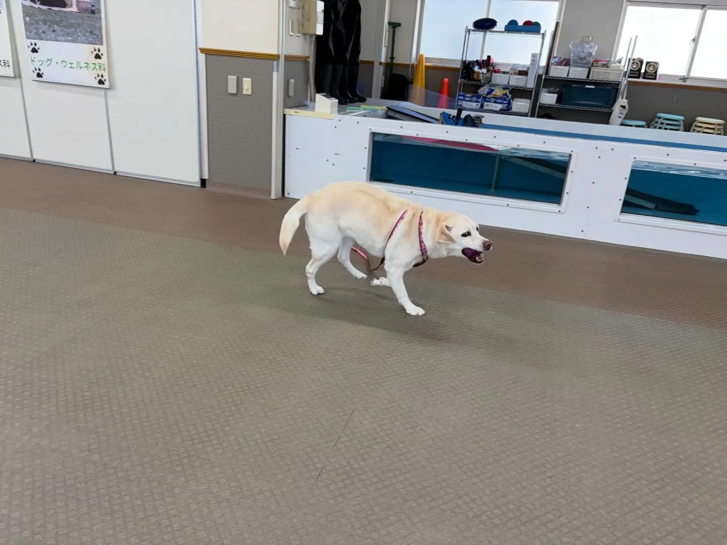 今日は今年度初学校、初授業でした🏫