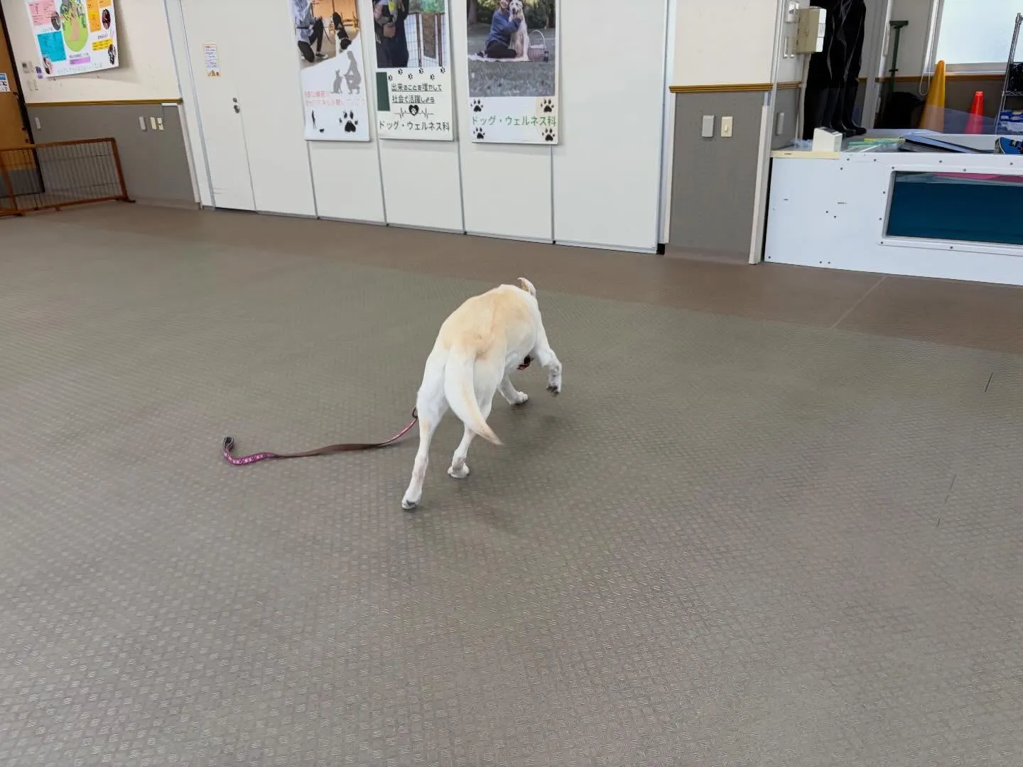 今日は今年度初学校、初授業でした🏫