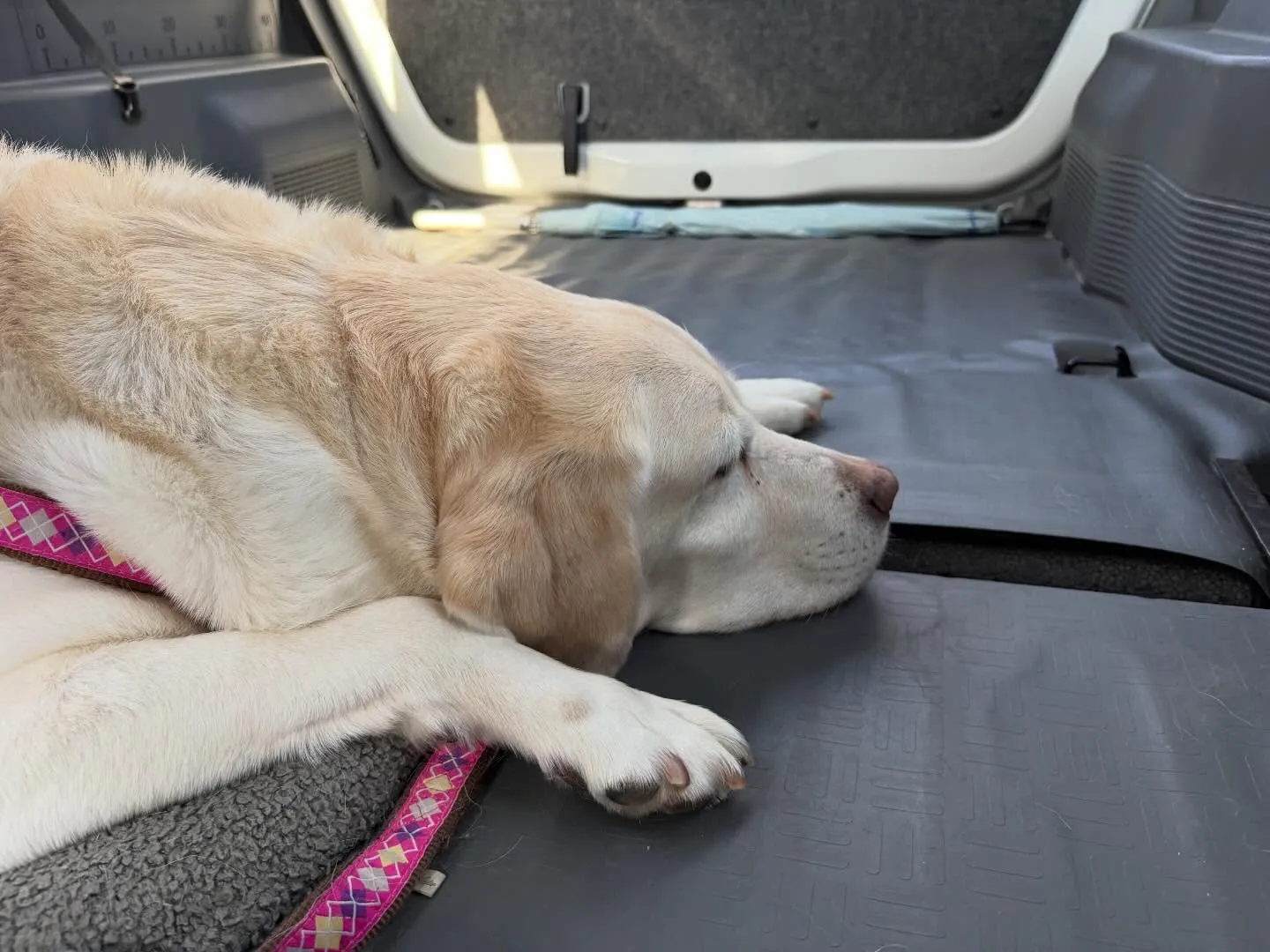 今日は今年度初学校、初授業でした🏫