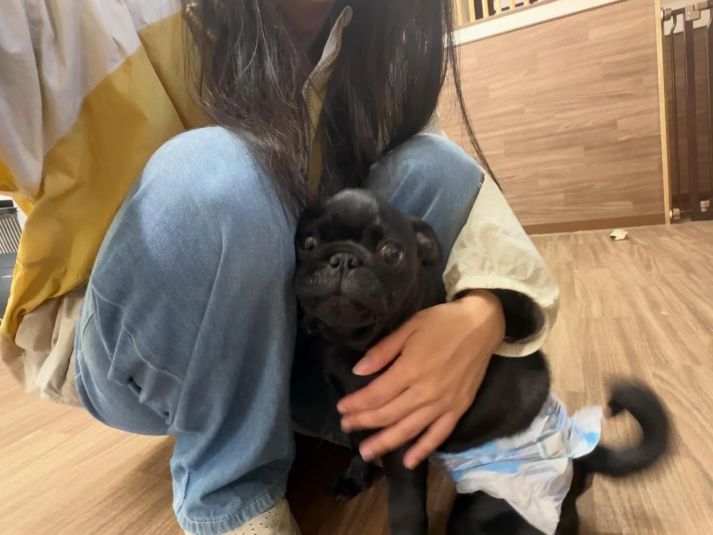 入会してくれたジミくん🐾