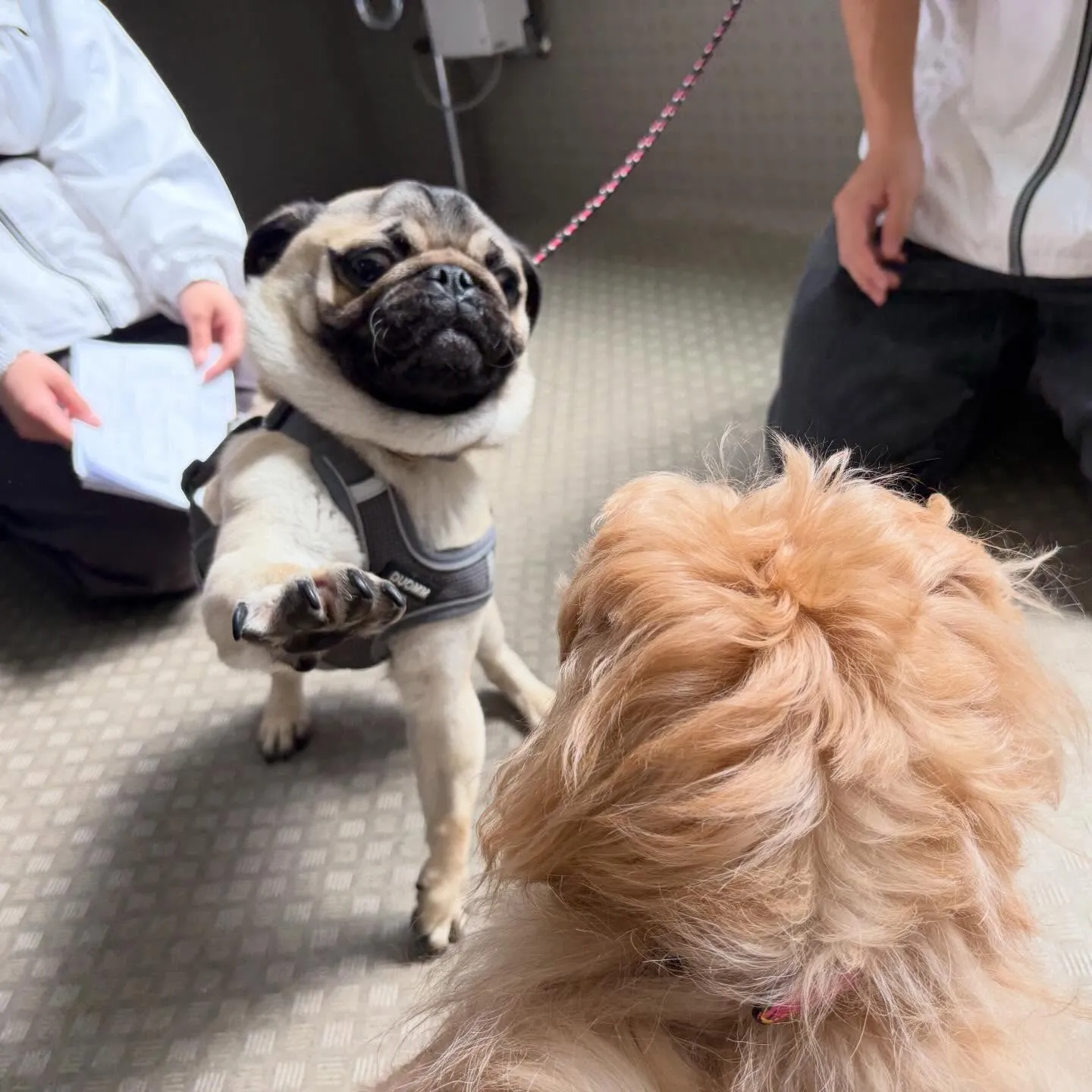 今日は専門学校dayでした😊🏫