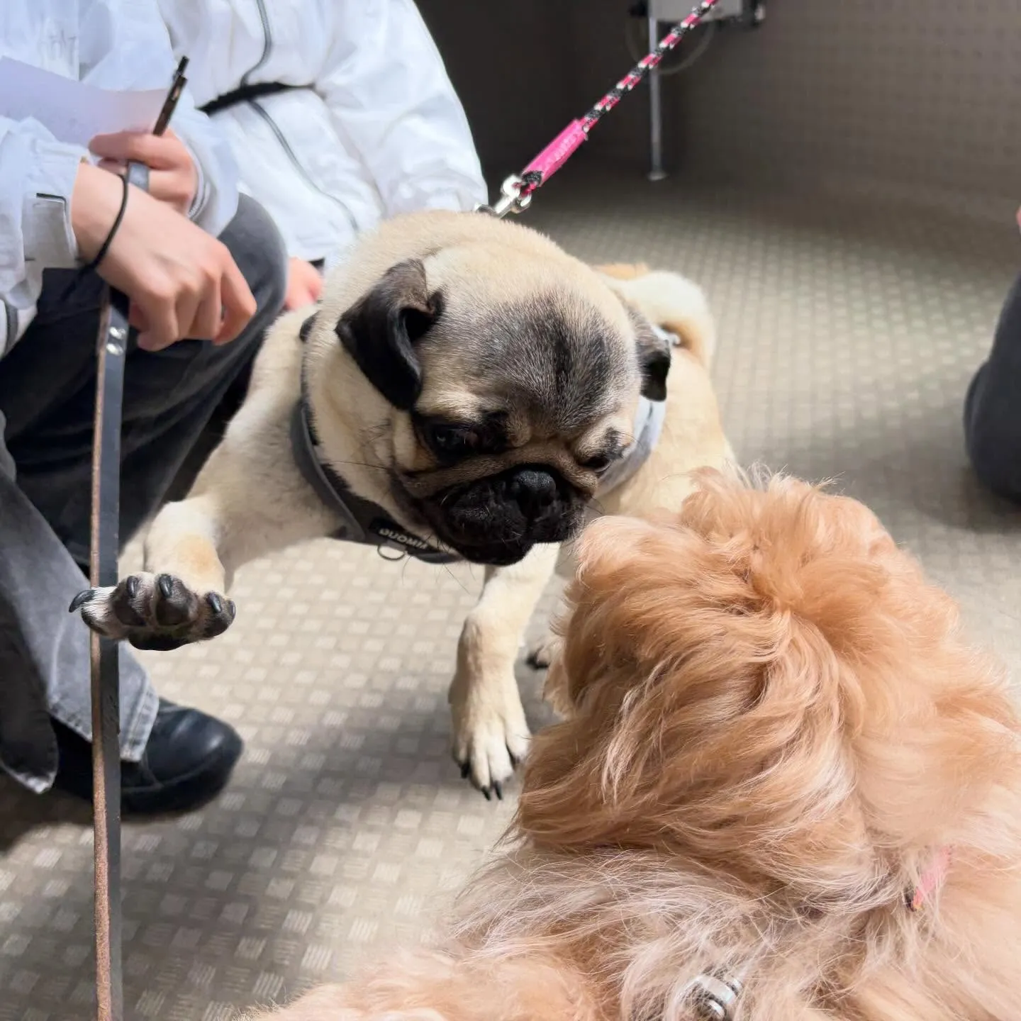 今日は専門学校dayでした😊🏫