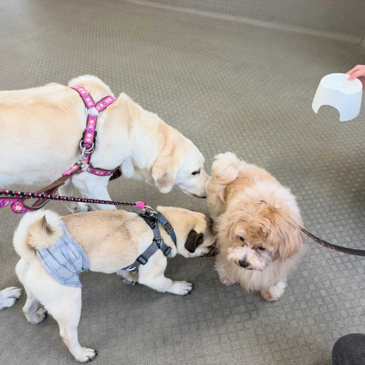 今日は専門学校dayでした😊🏫