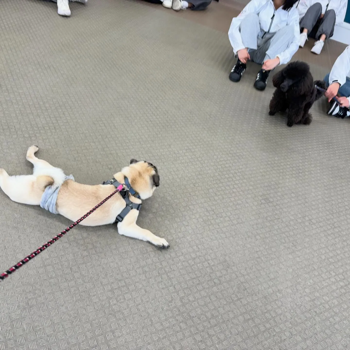 今日は専門学校dayでした😊🏫