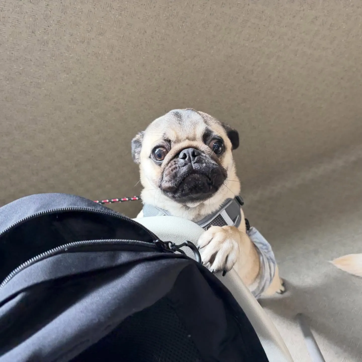 今日は専門学校dayでした😊🏫