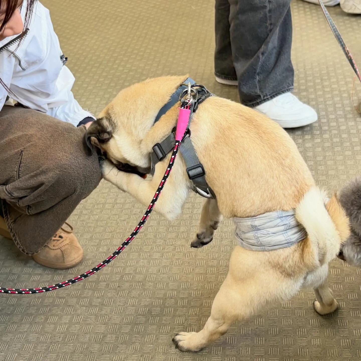 今日は専門学校dayでした😊🏫