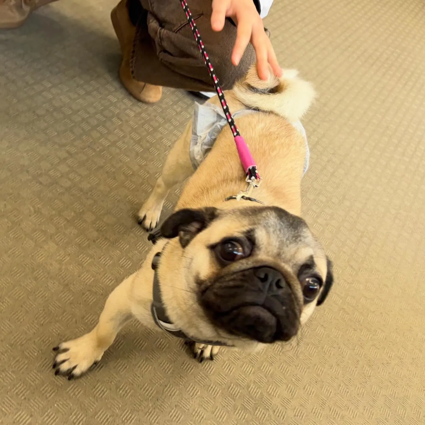 今日は専門学校dayでした😊🏫