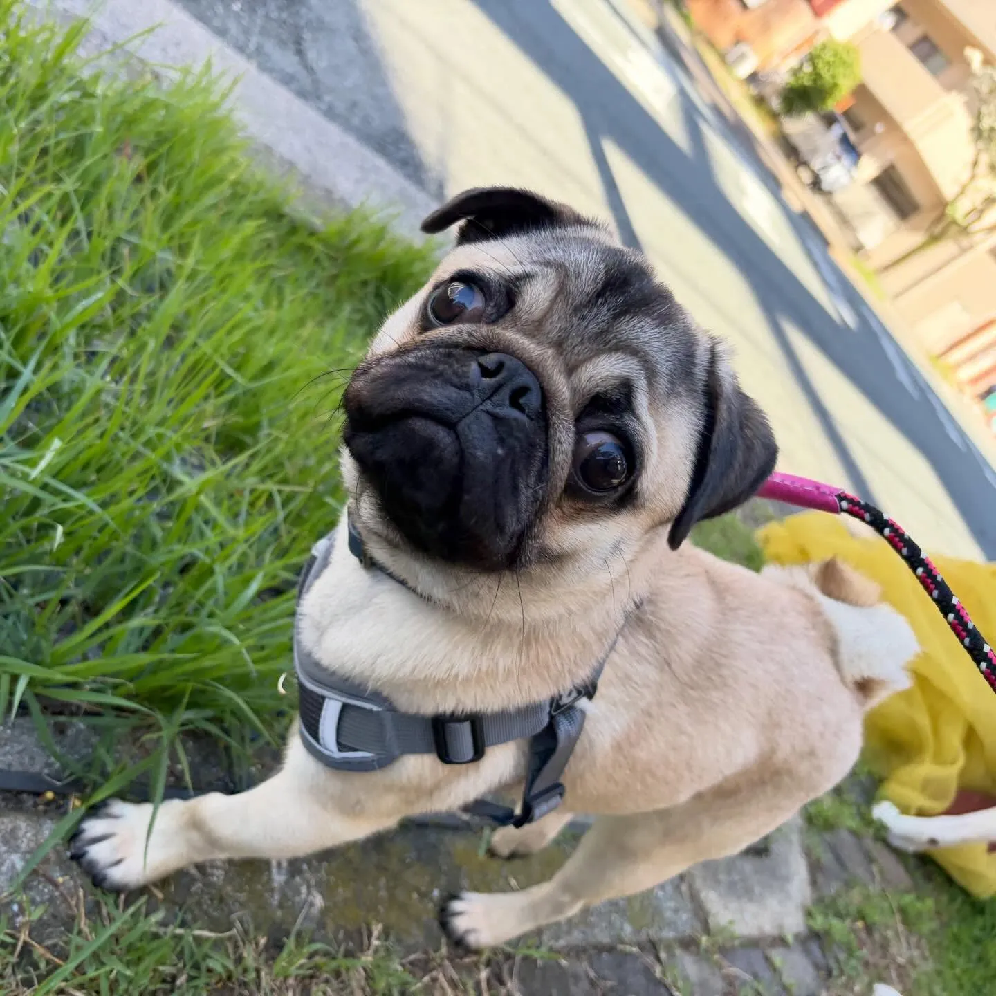 今日は専門学校dayでした😊🏫
