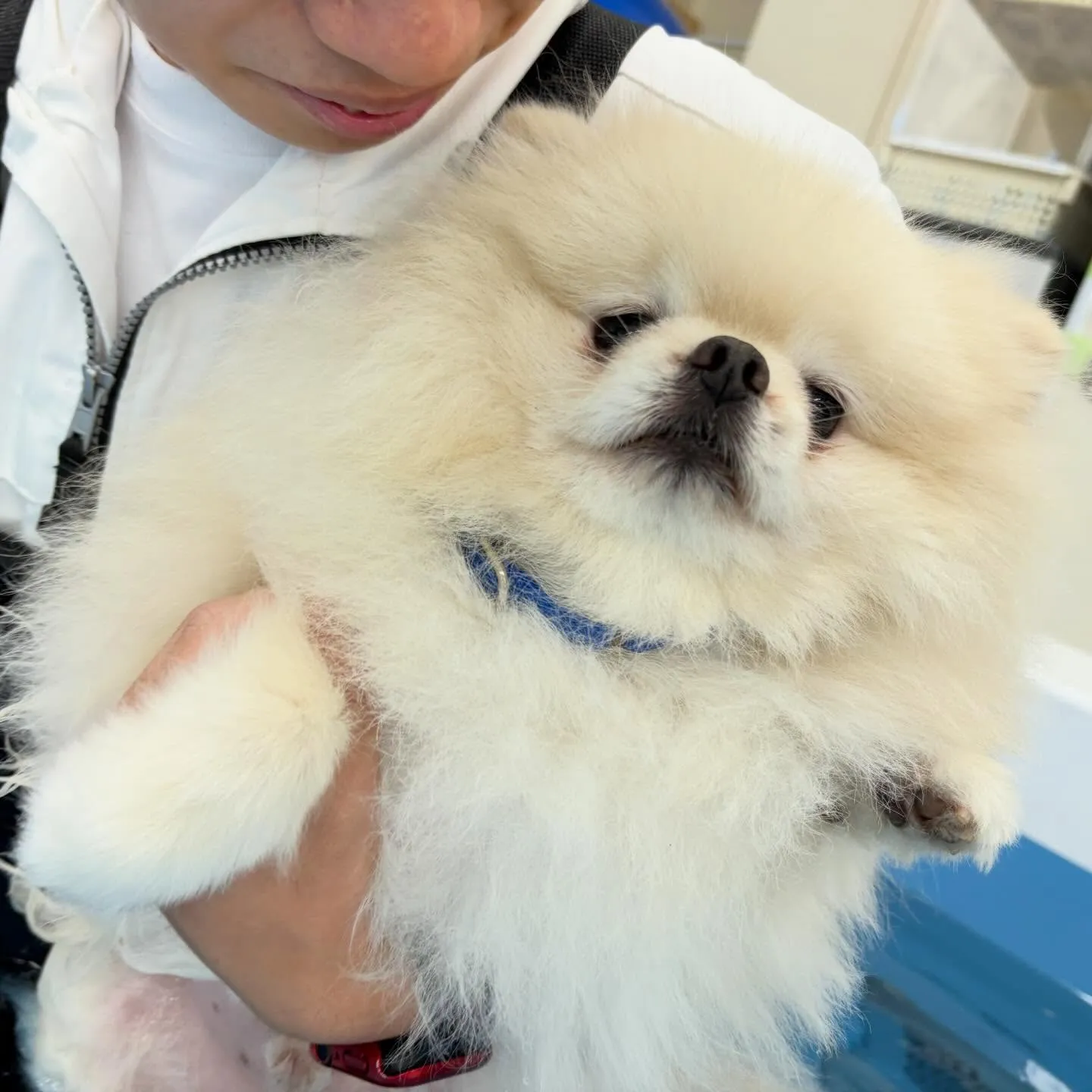 今日は専門学校dayでした😊🏫