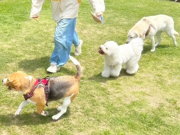 【ドッグランイベント予約受付開始のお知らせ】 