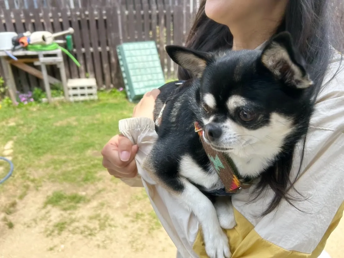 【ドッグランイベント予約受付開始のお知らせ】 