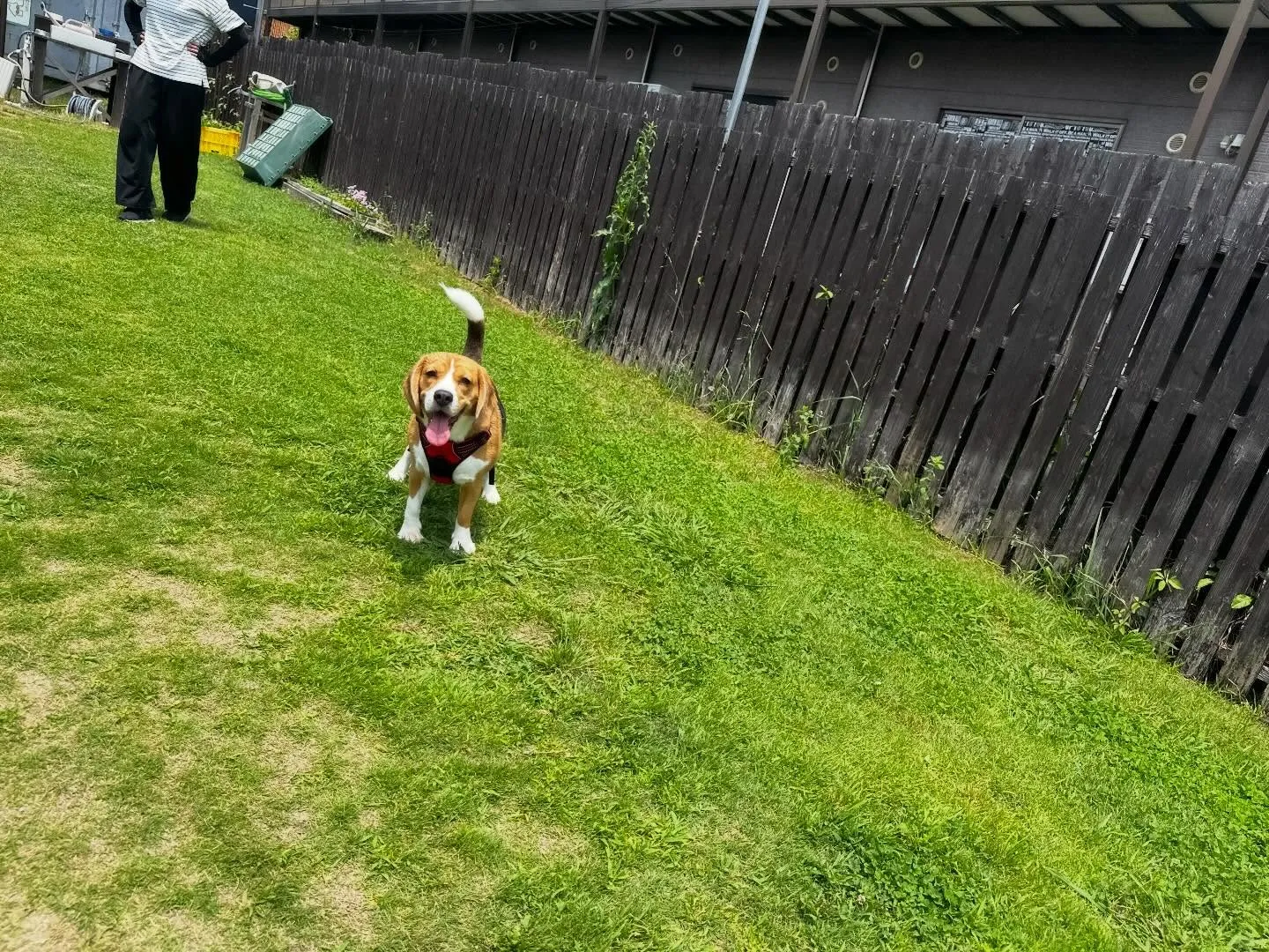 【ドッグランイベント 20日の予約受付終了のお知らせ】