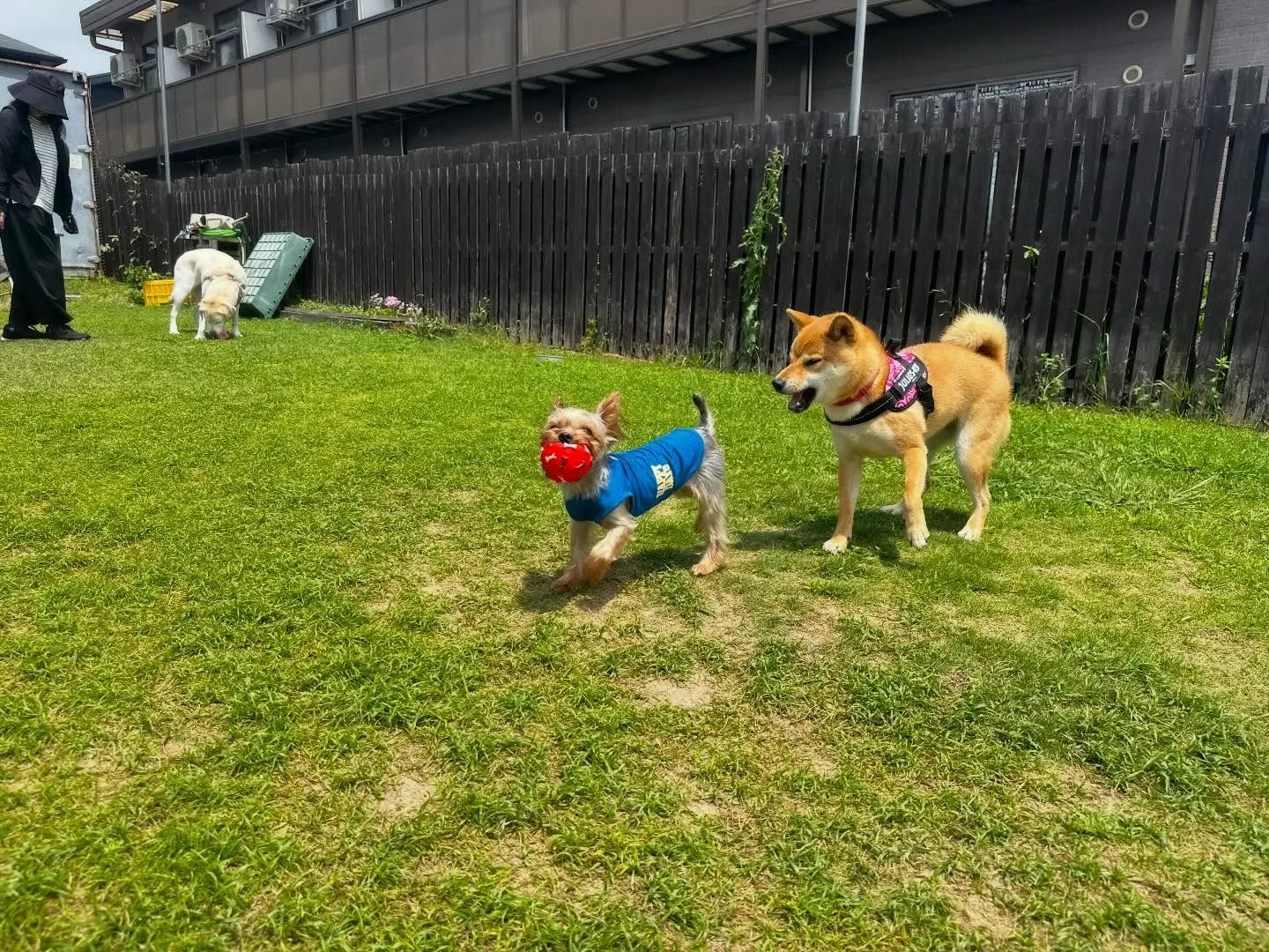 【ドッグランイベント 20日の予約受付終了のお知らせ】