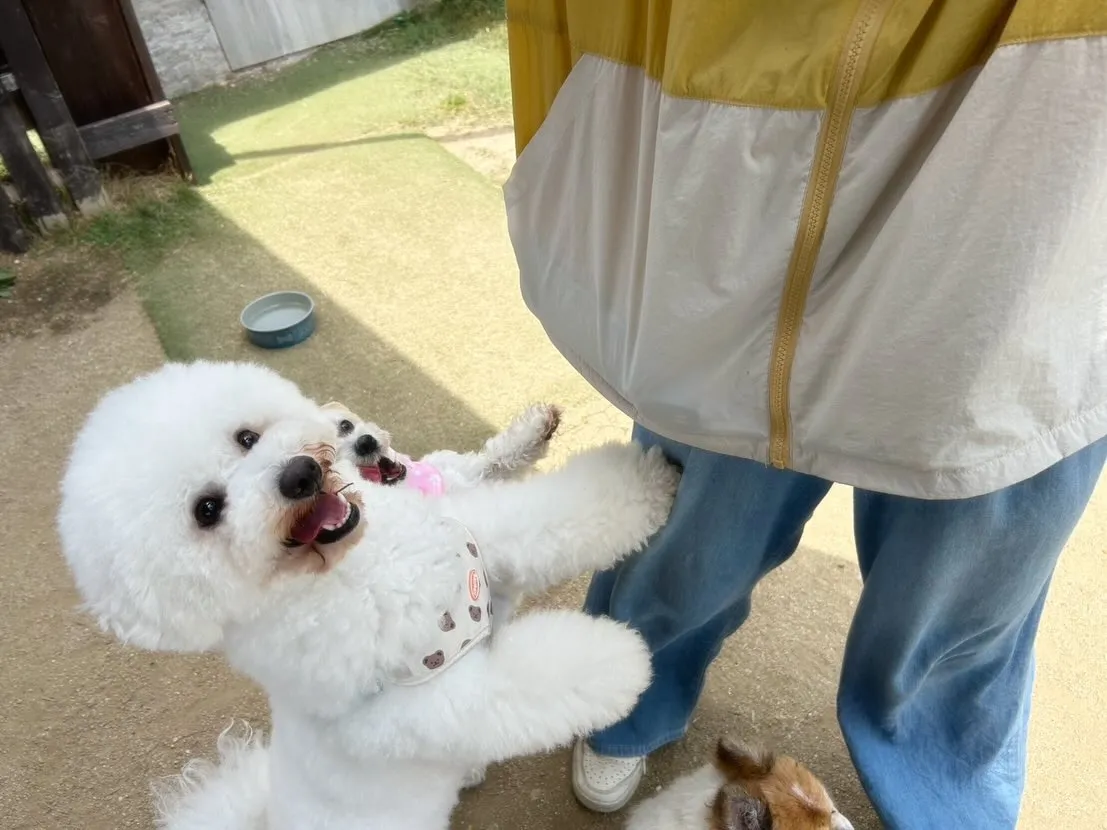 【ドッグランイベント予約受付開始のお知らせ】 