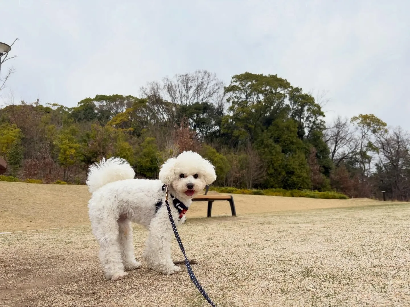 先日、20日は【Feliceからの挑戦状】の締切日でした✨️