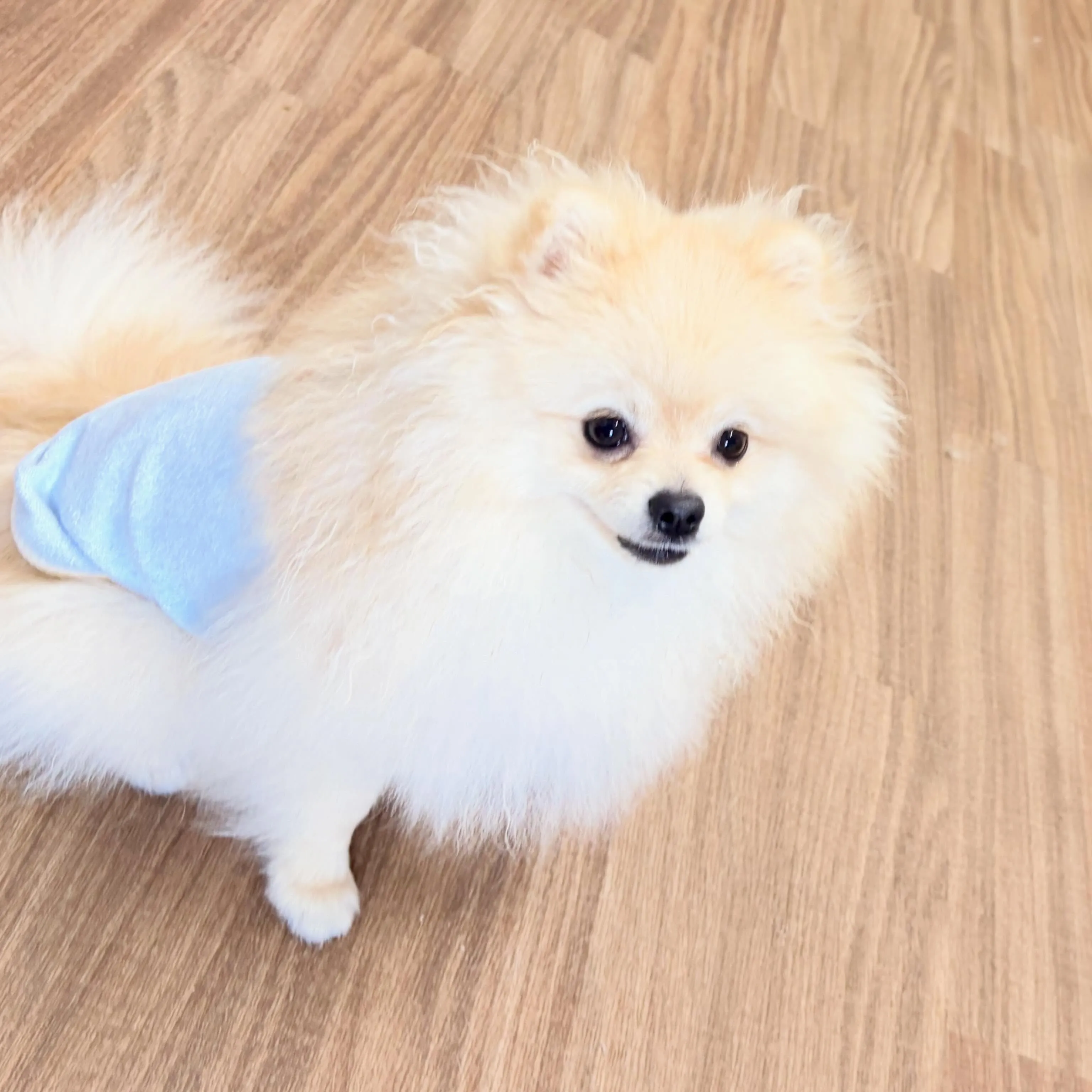 入会してくれたむーたんくんです🥰