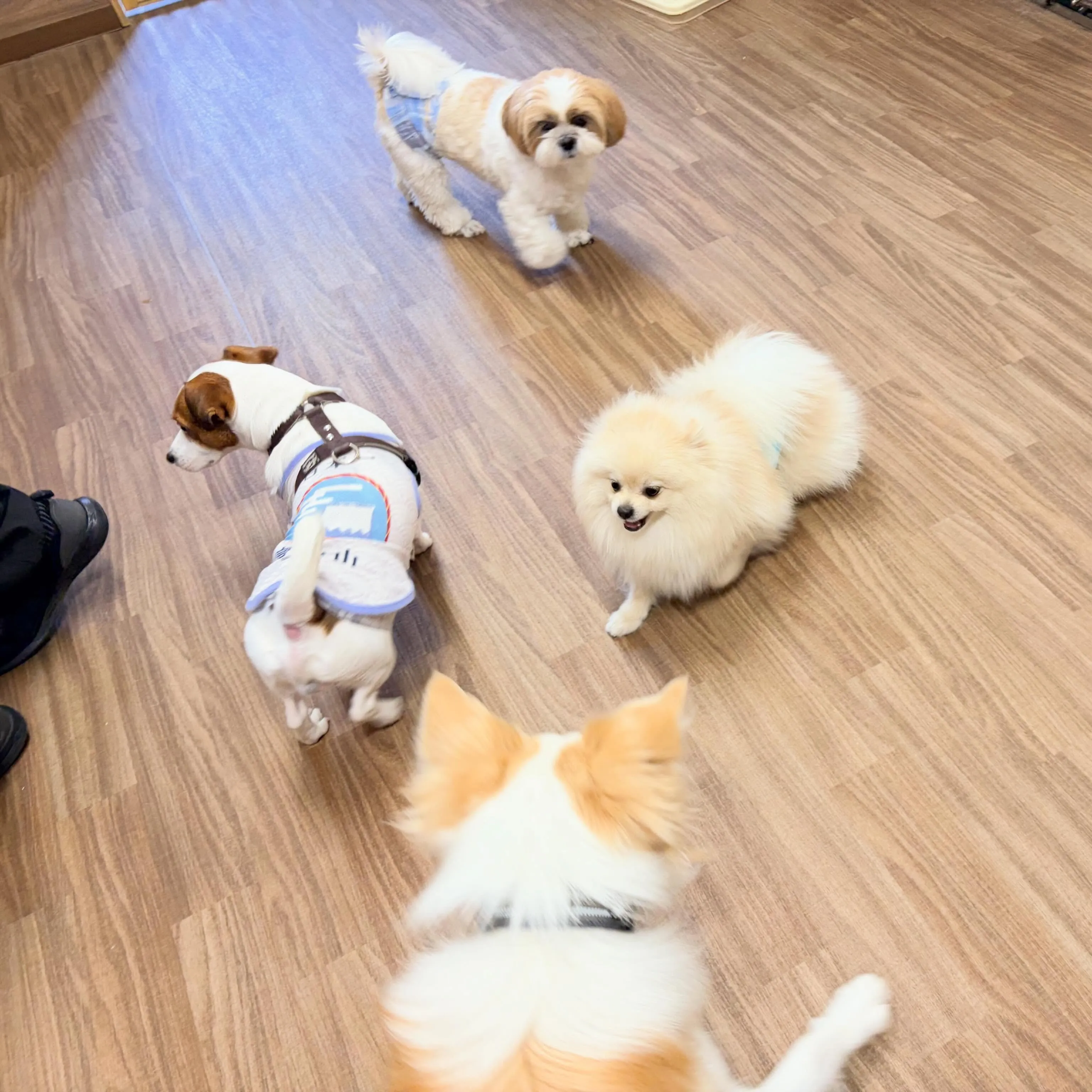 入会してくれたむーたんくんです🥰