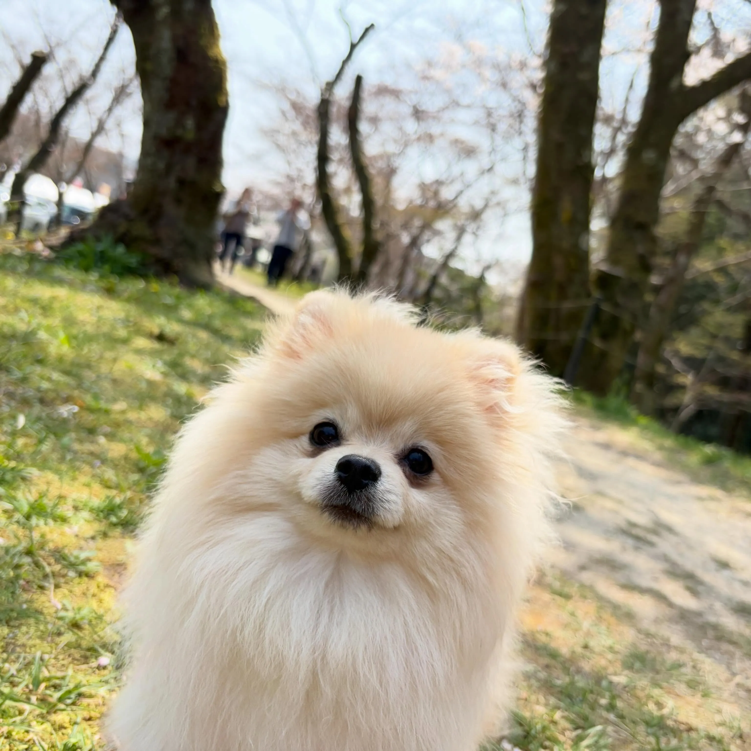 入会してくれたむーたんくんです🥰