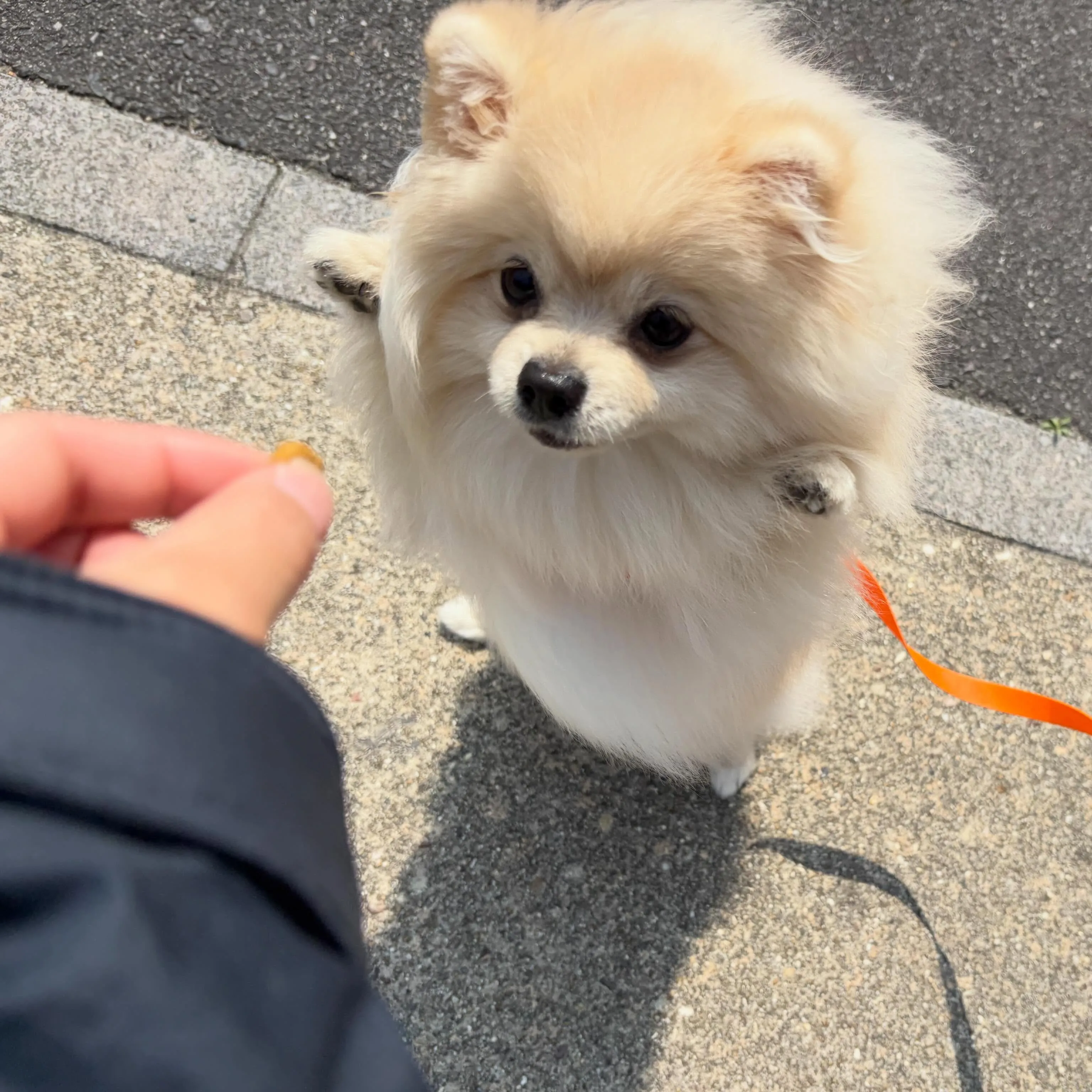 入会してくれたむーたんくんです🥰