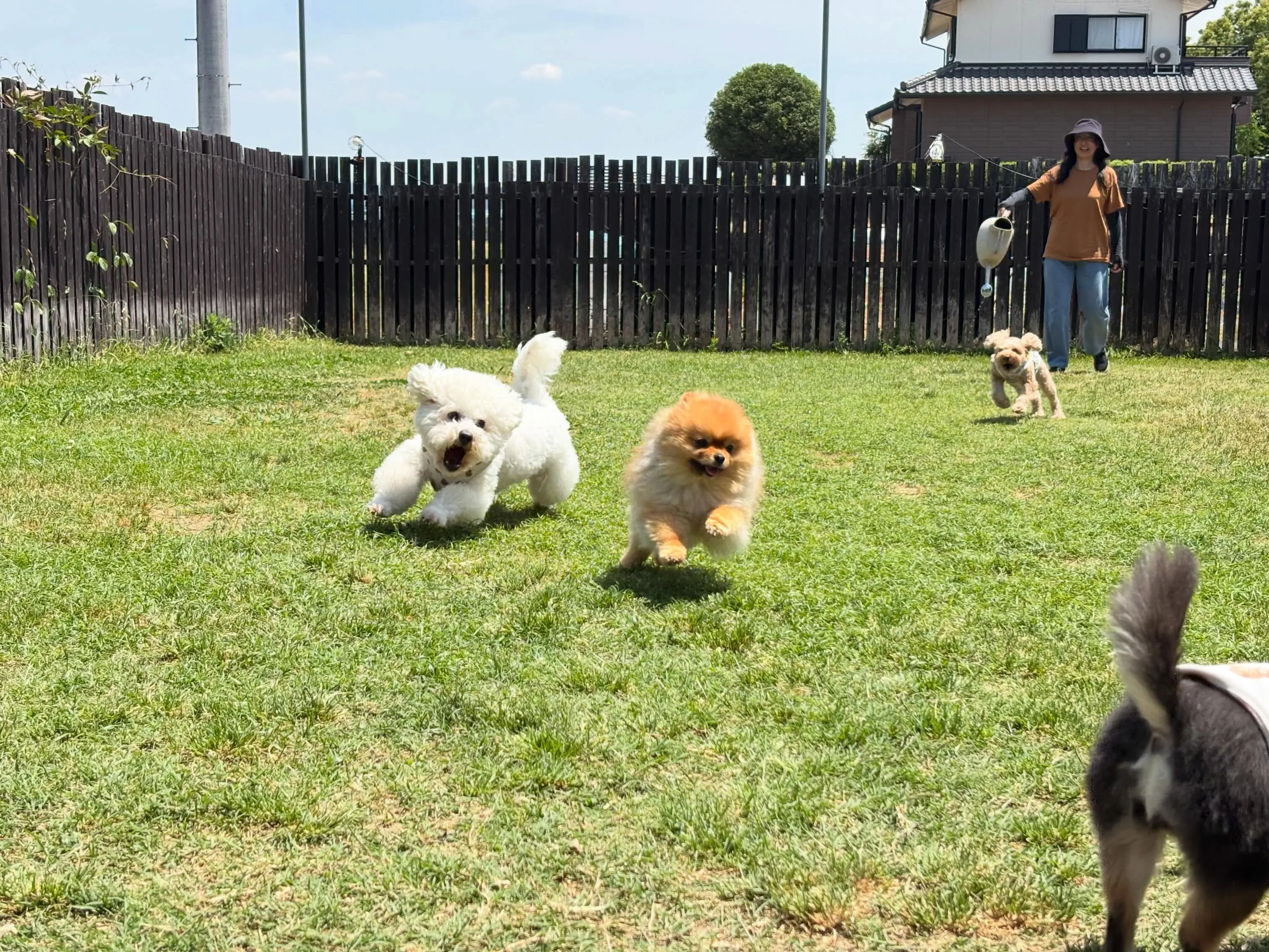 昨日・今日とドッグランイベント開催日でした🐕🐾