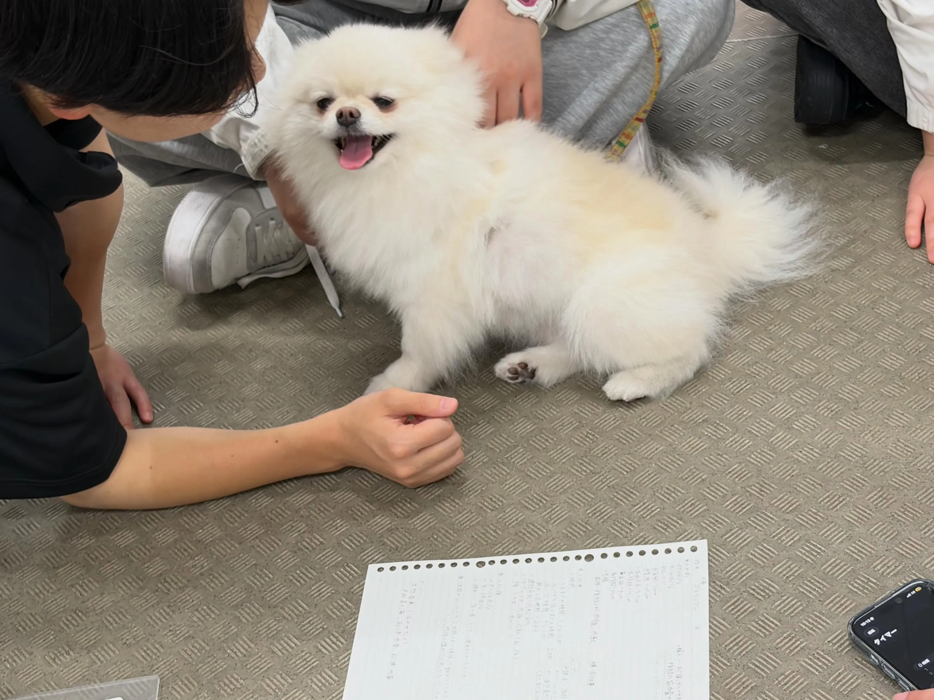 今日は専門学校day🏫