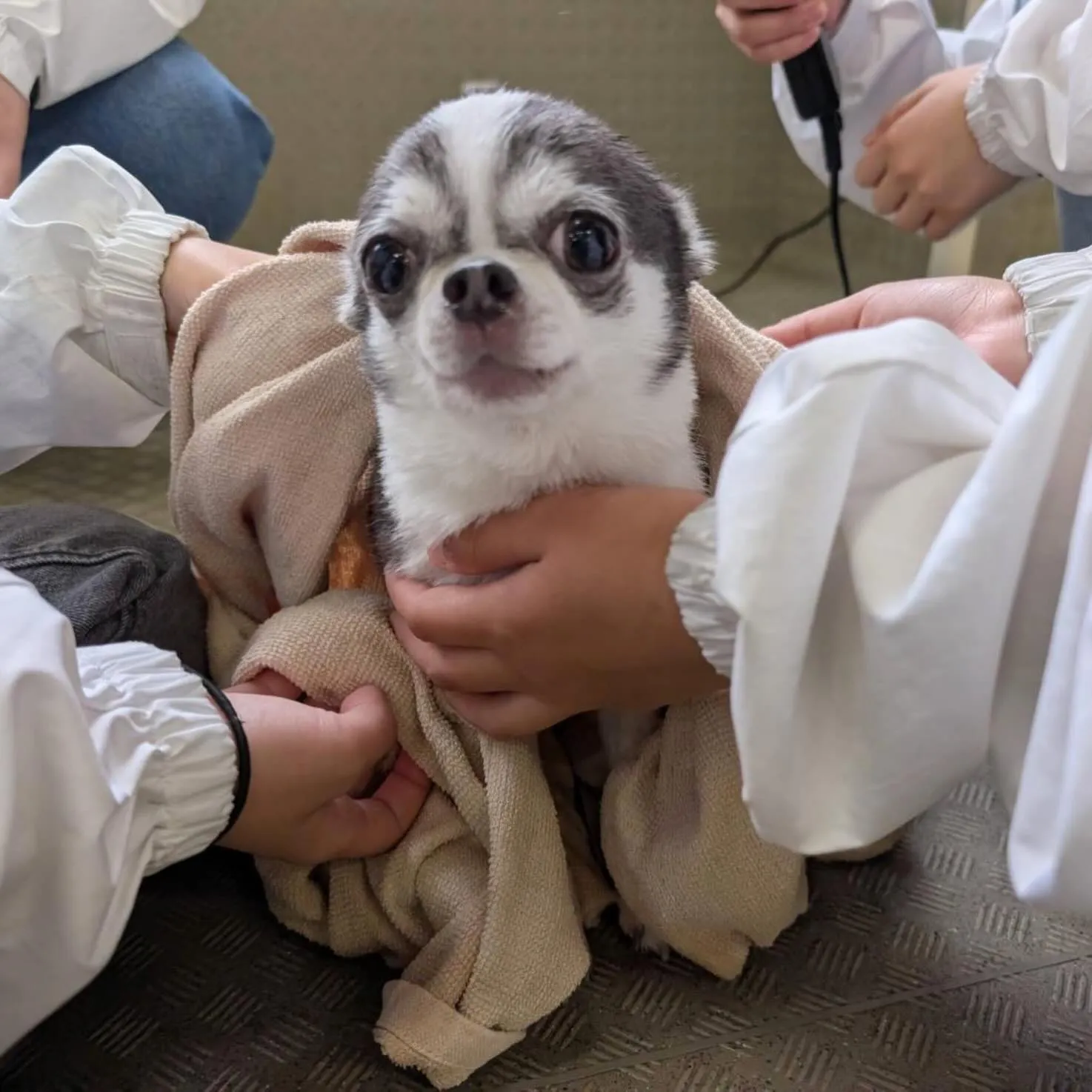 今日は専門学校day🏫