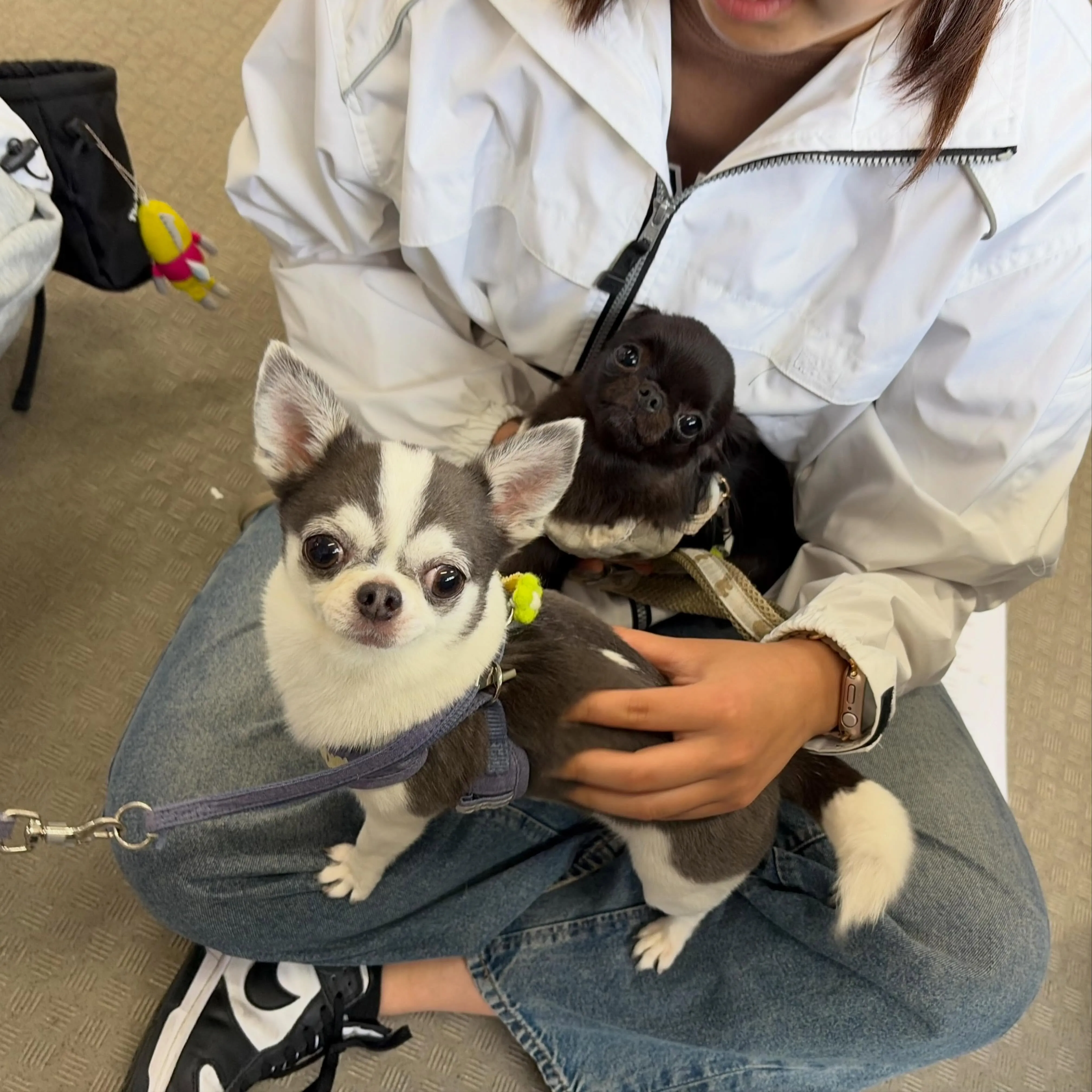 今日は専門学校day🏫