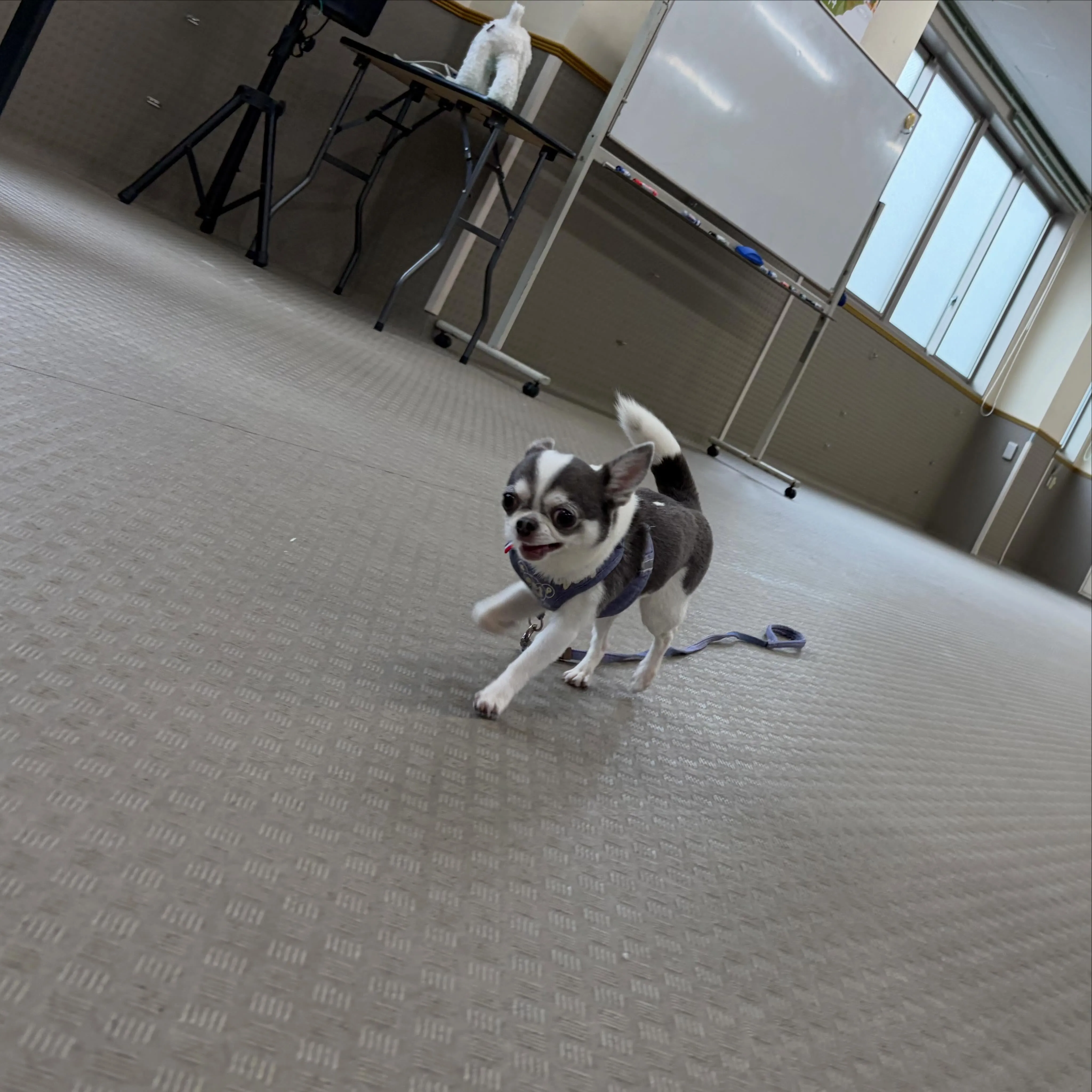 今日は専門学校day🏫