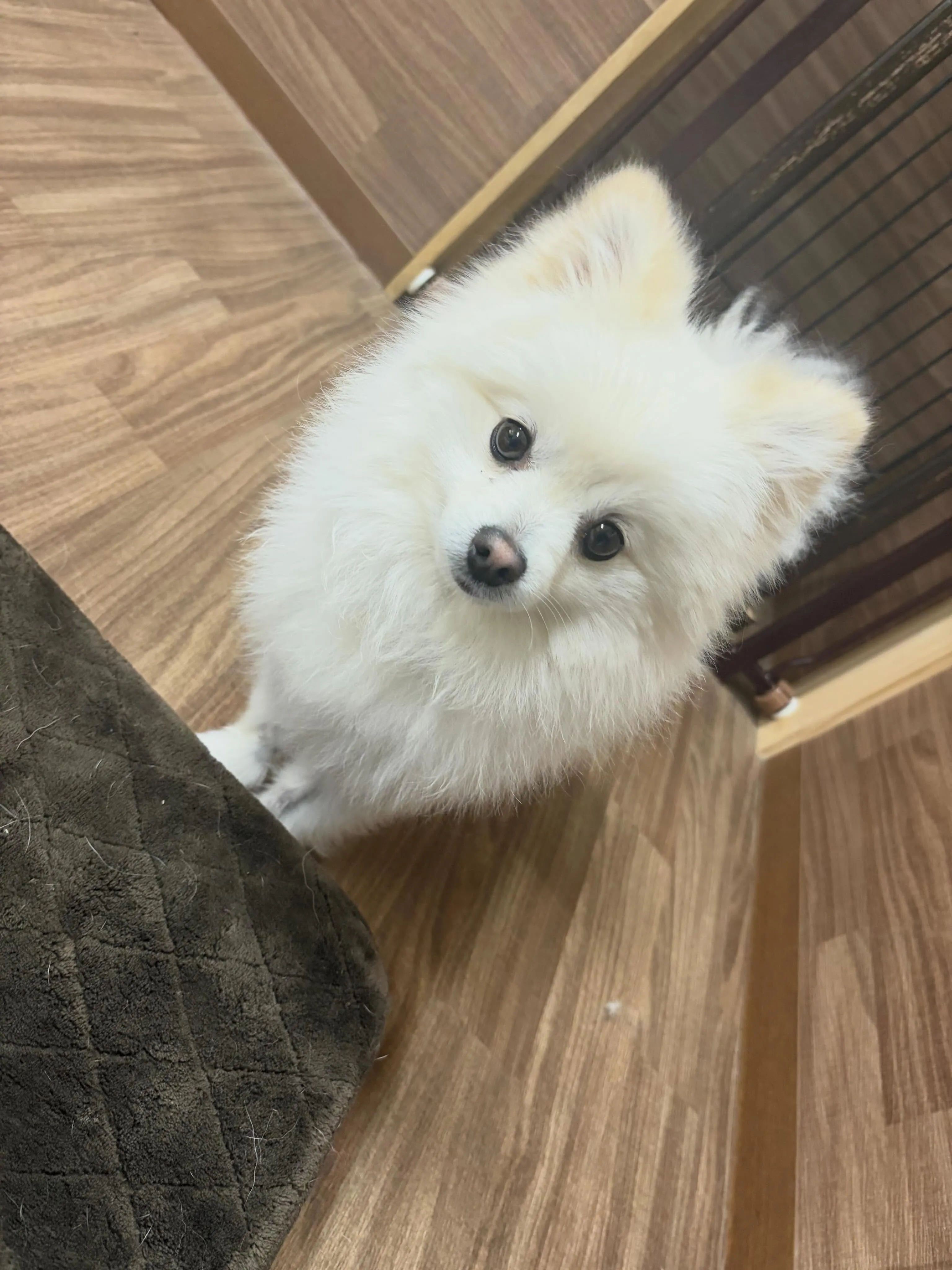 8月の営業カレンダーです❣️