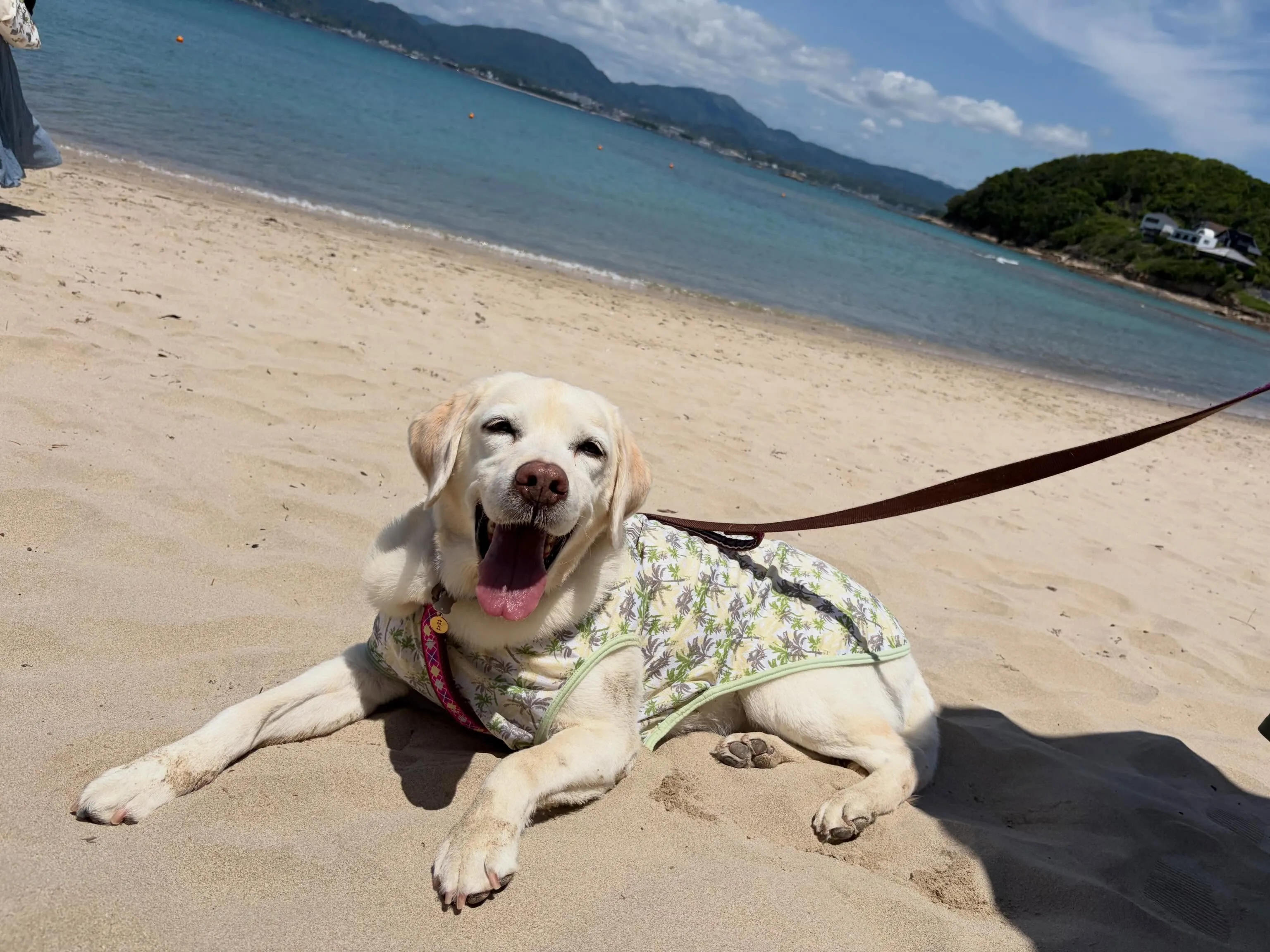 先日なつを連れて和歌山に家族旅行に行きまして