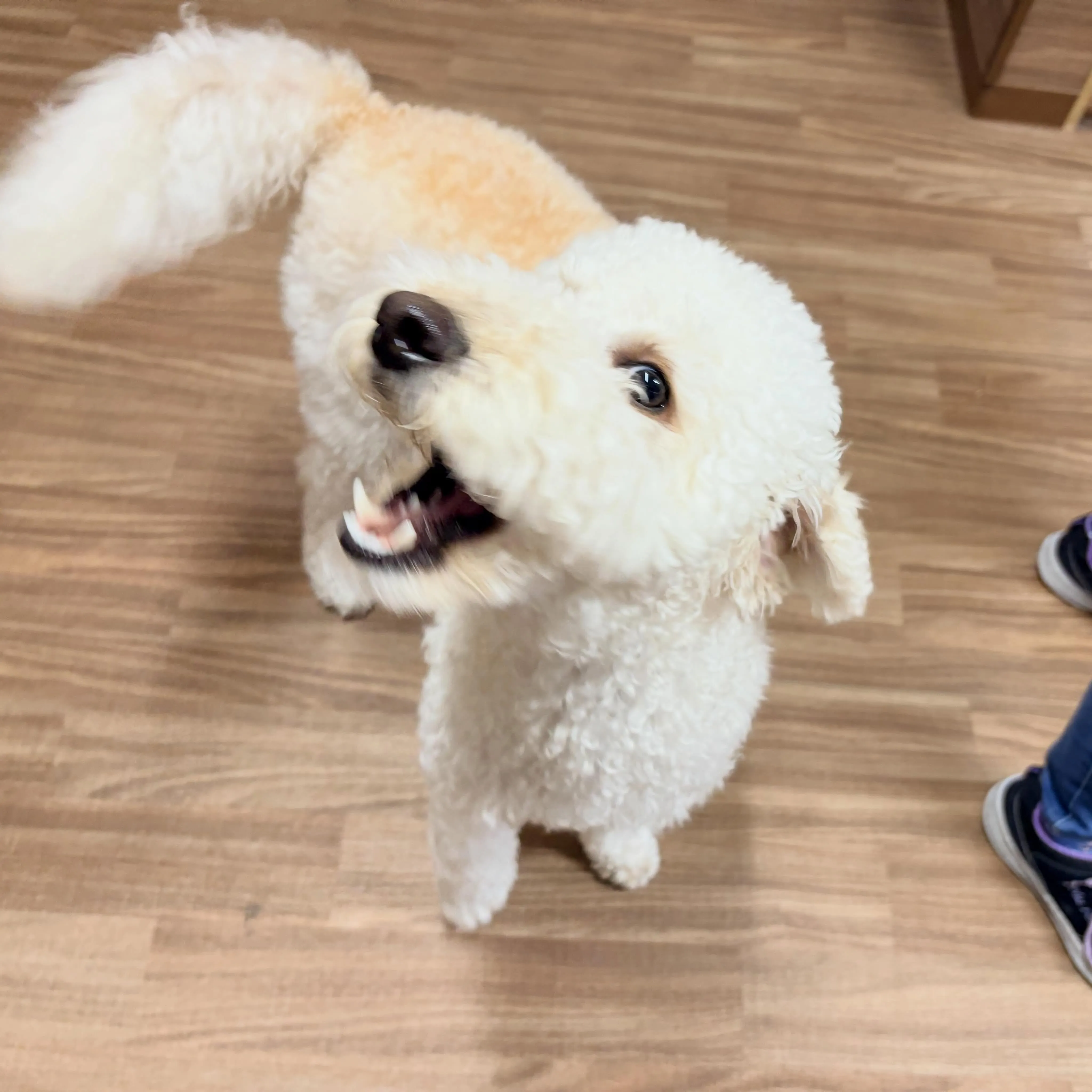 入会してくれたはるくんです😊