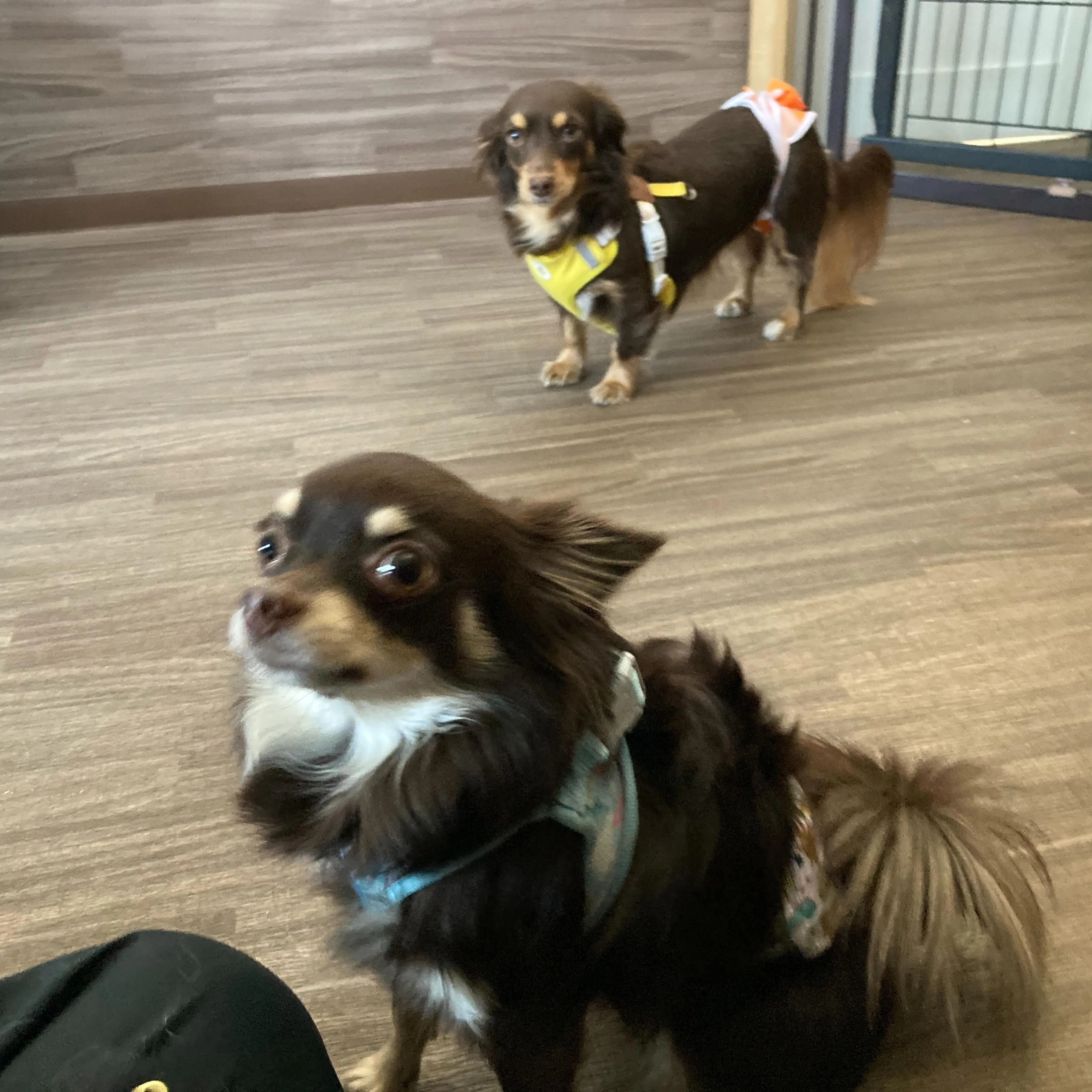 入会してくれた柚ちゃんと梨空くんです✨