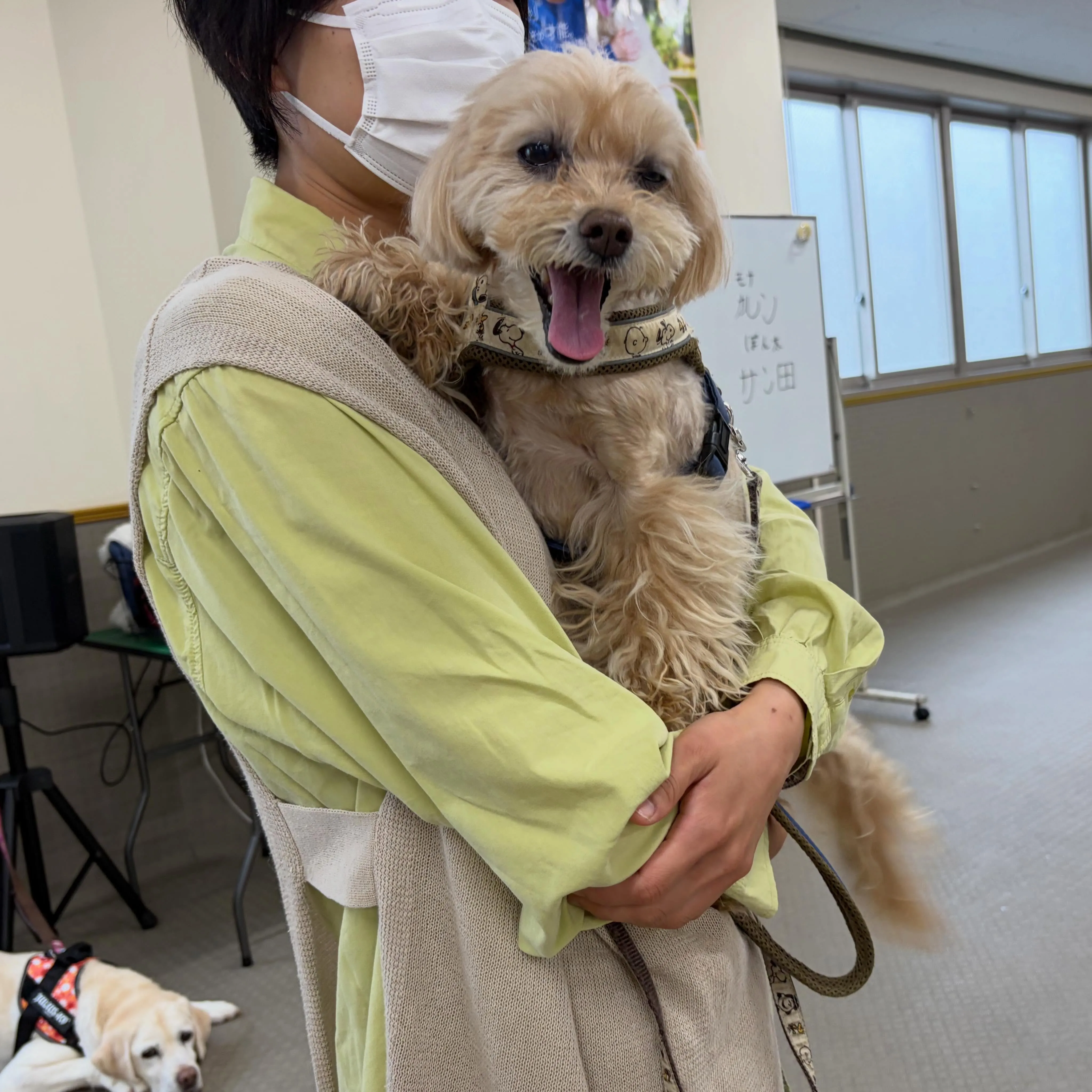 昨日は専門学校dayでした🏫