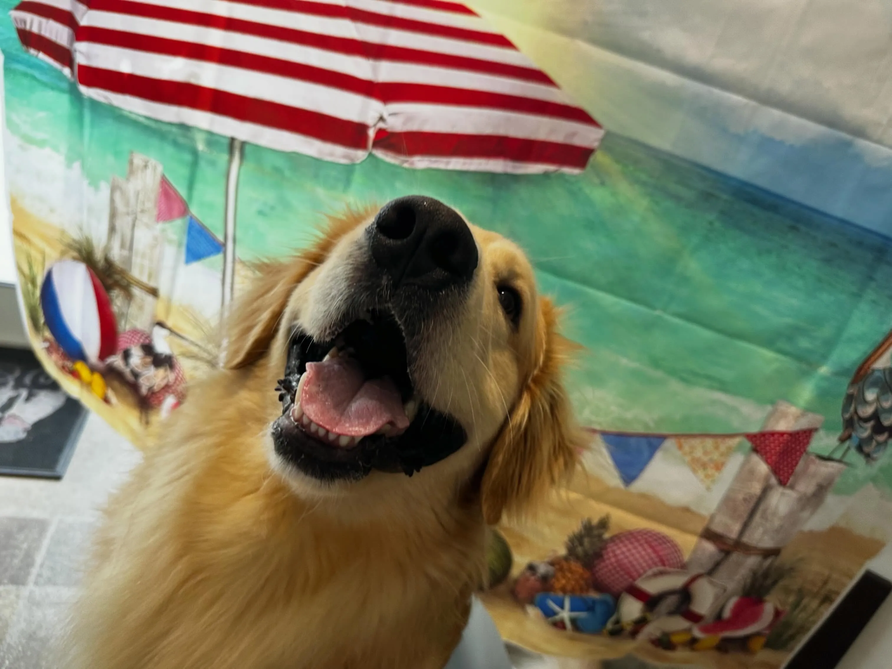 【水遊びイベント 29日受付終了のお知らせ】