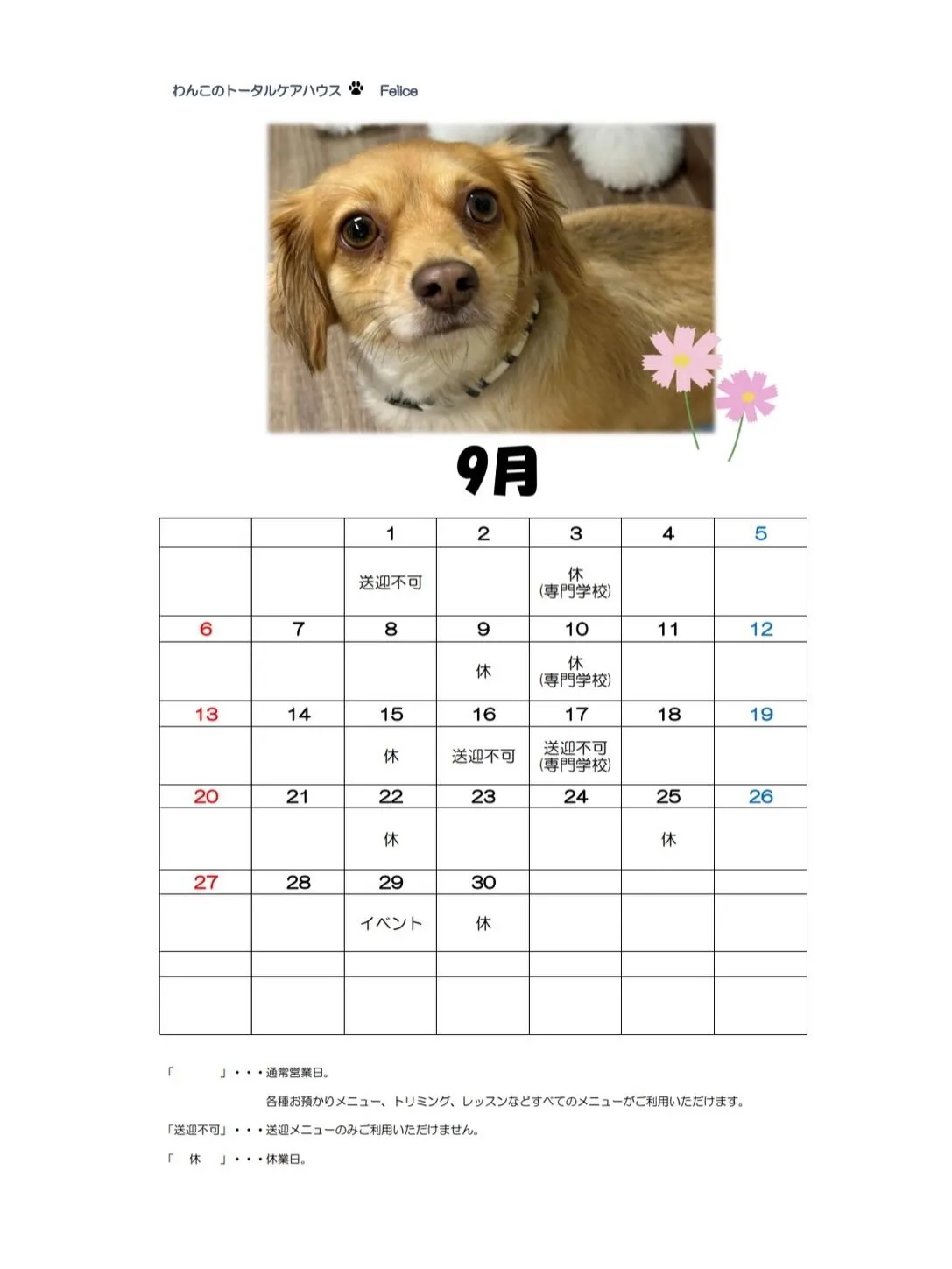 9月の営業カレンダーです❣️