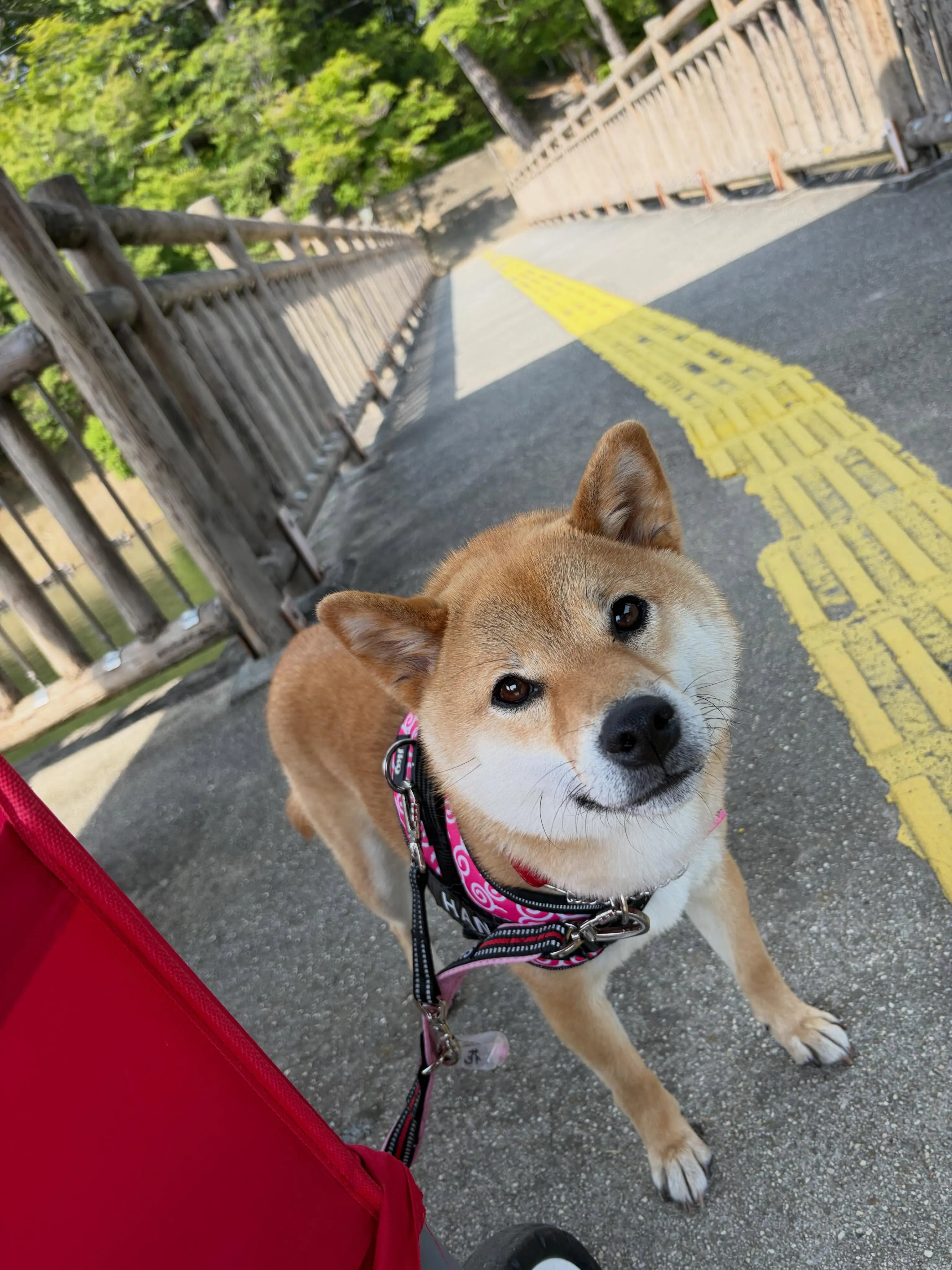 9月の営業カレンダーです❣️