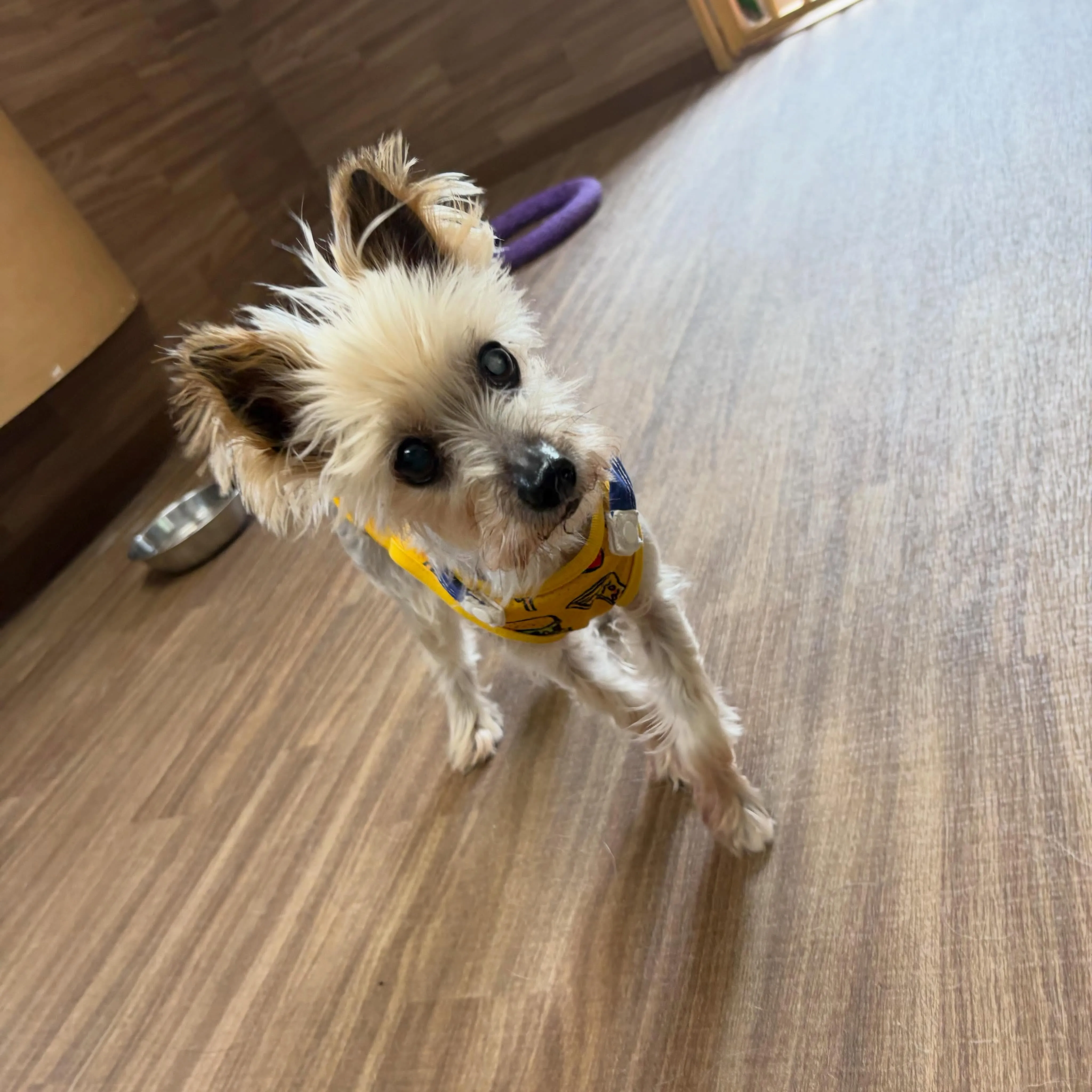 先月アップしきれなかったわんこ投稿ラストです❣️