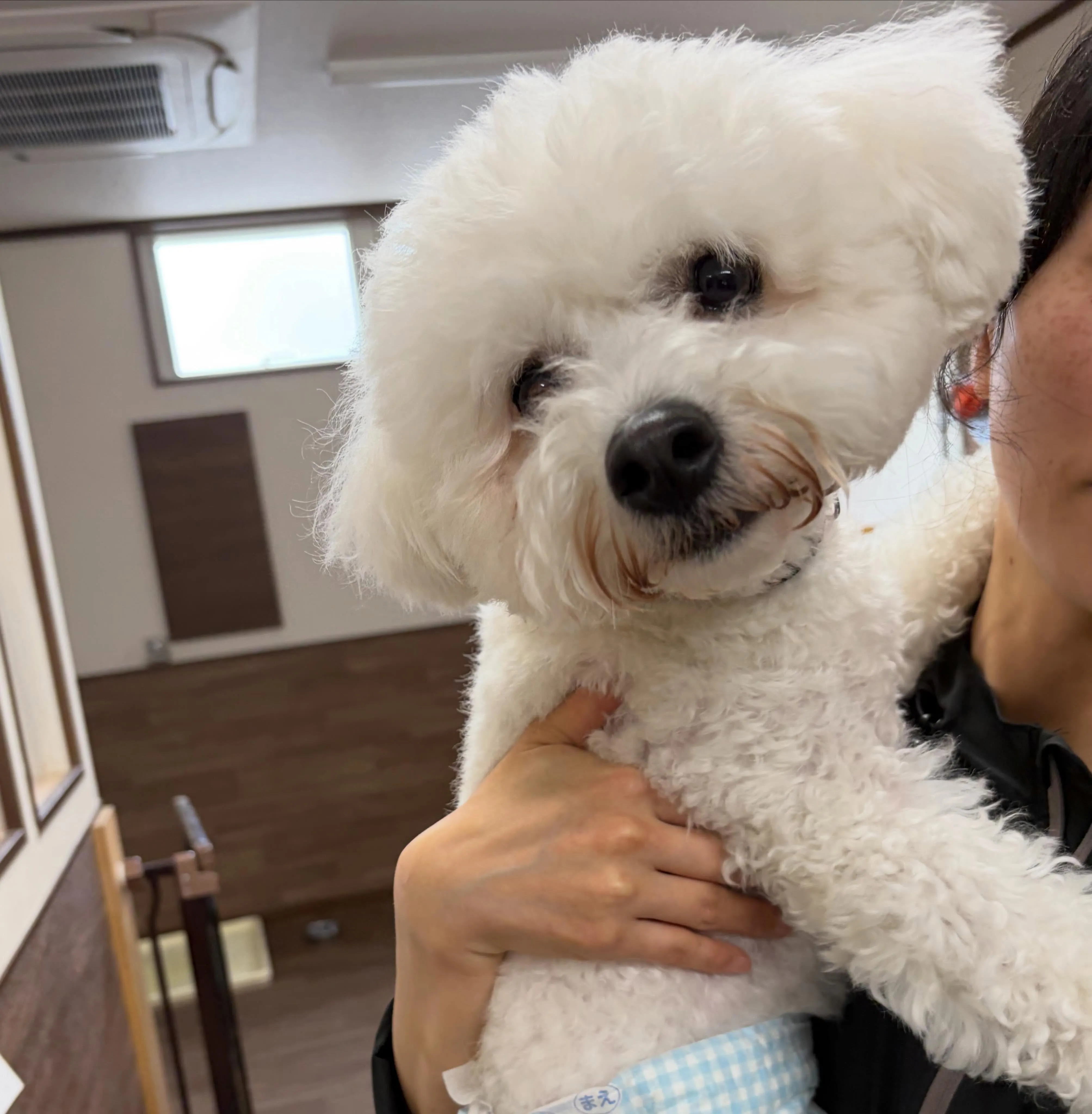 入会してくれたもにゅくんです🥰