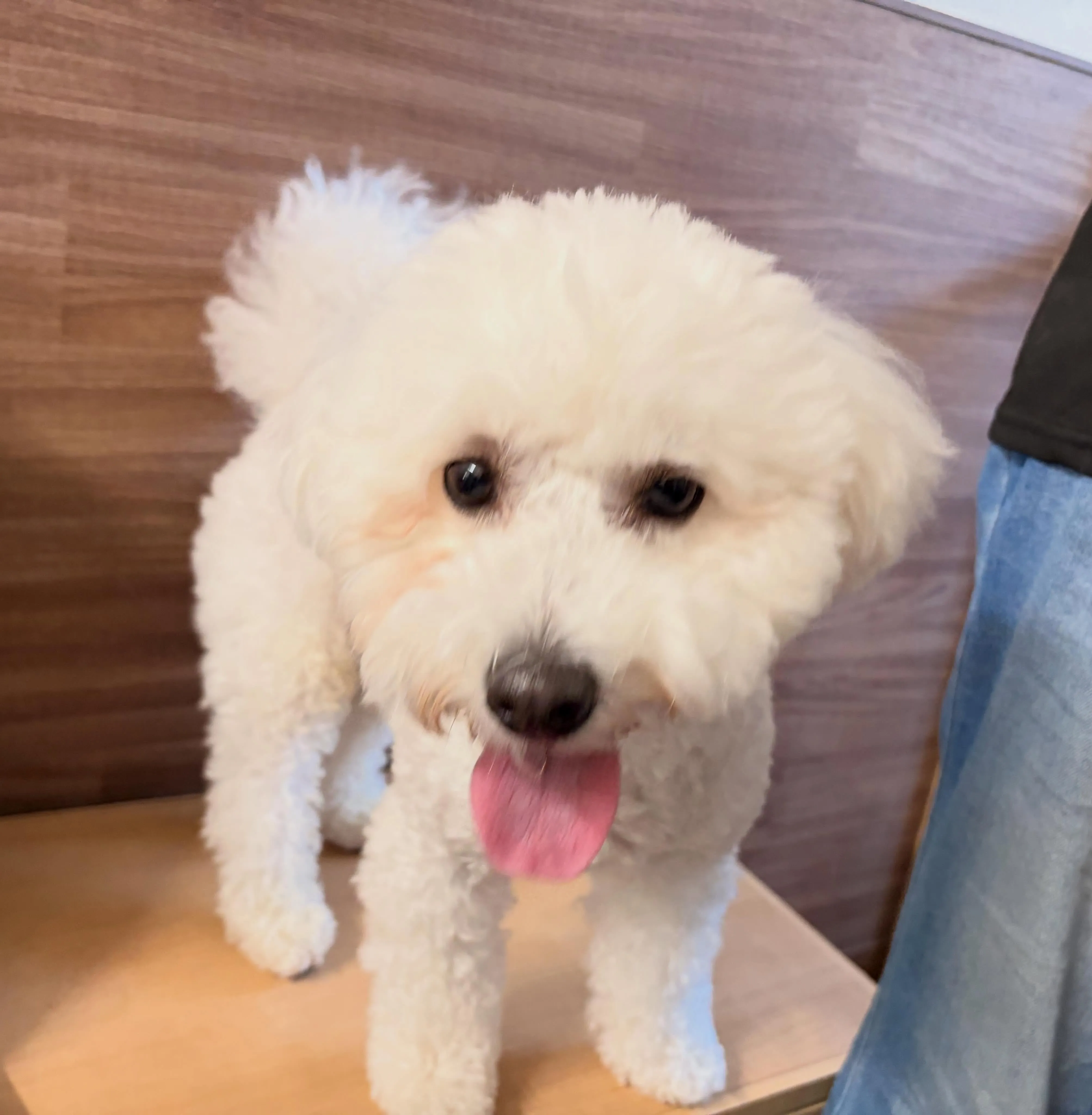 入会してくれたもにゅくんです🥰