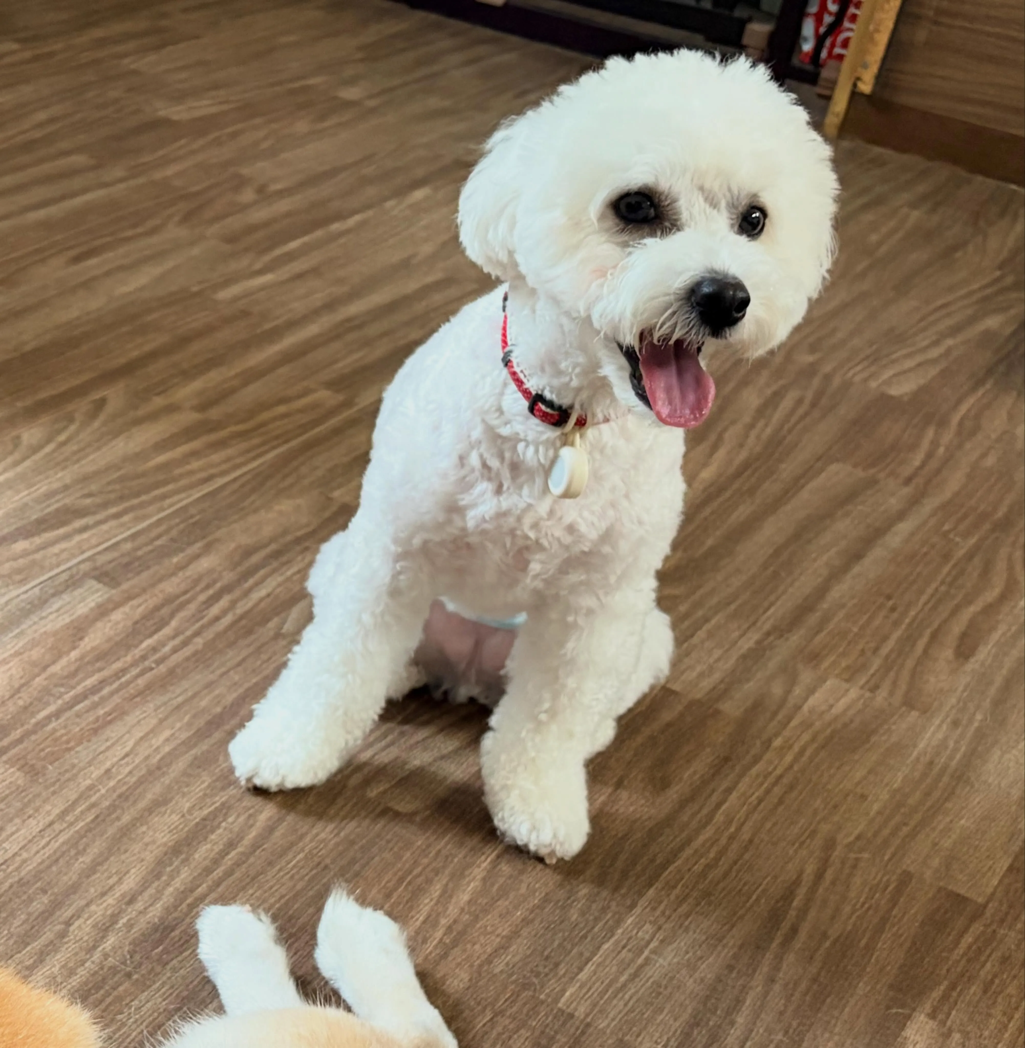 入会してくれたもにゅくんです🥰