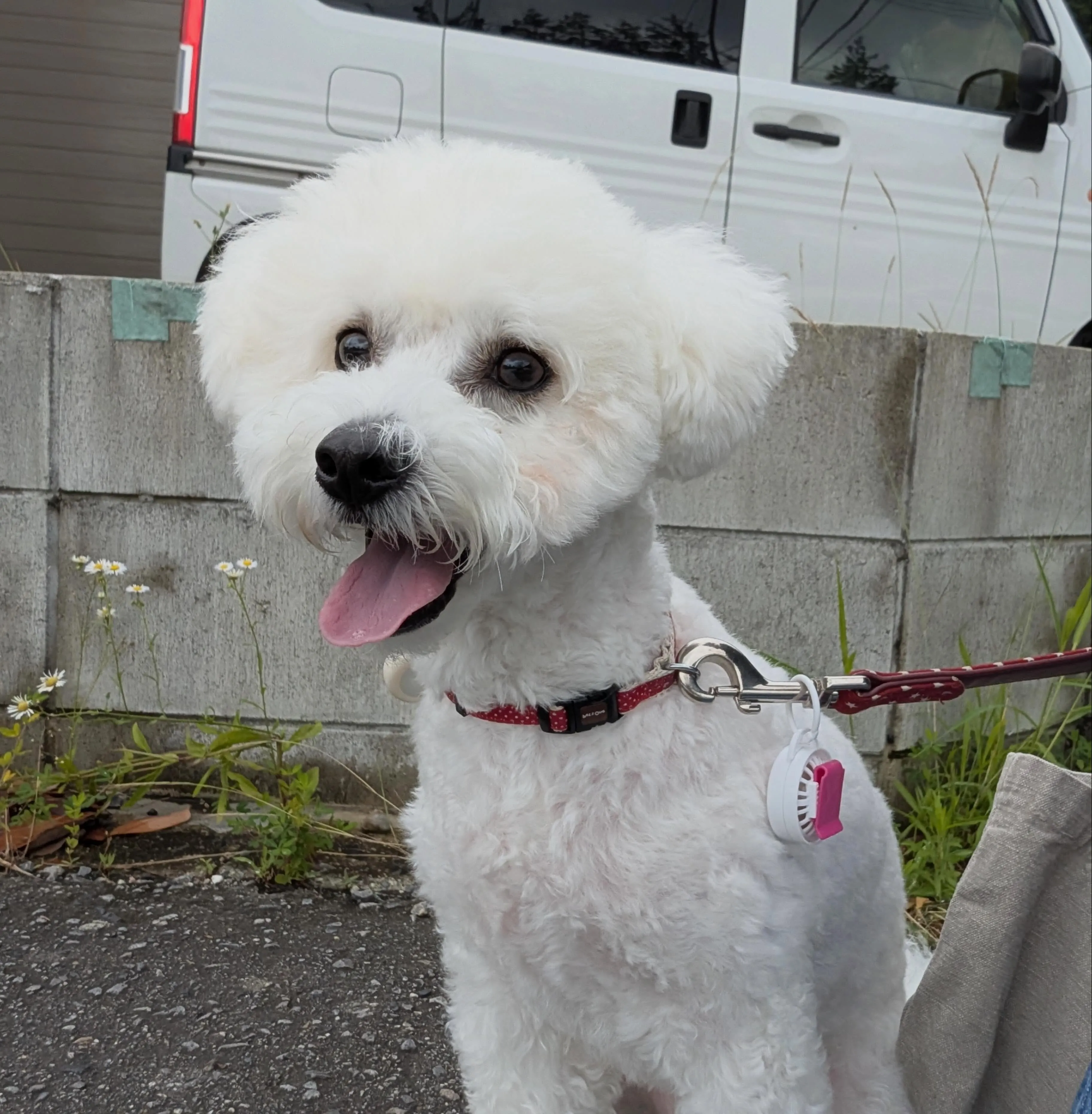 入会してくれたもにゅくんです🥰