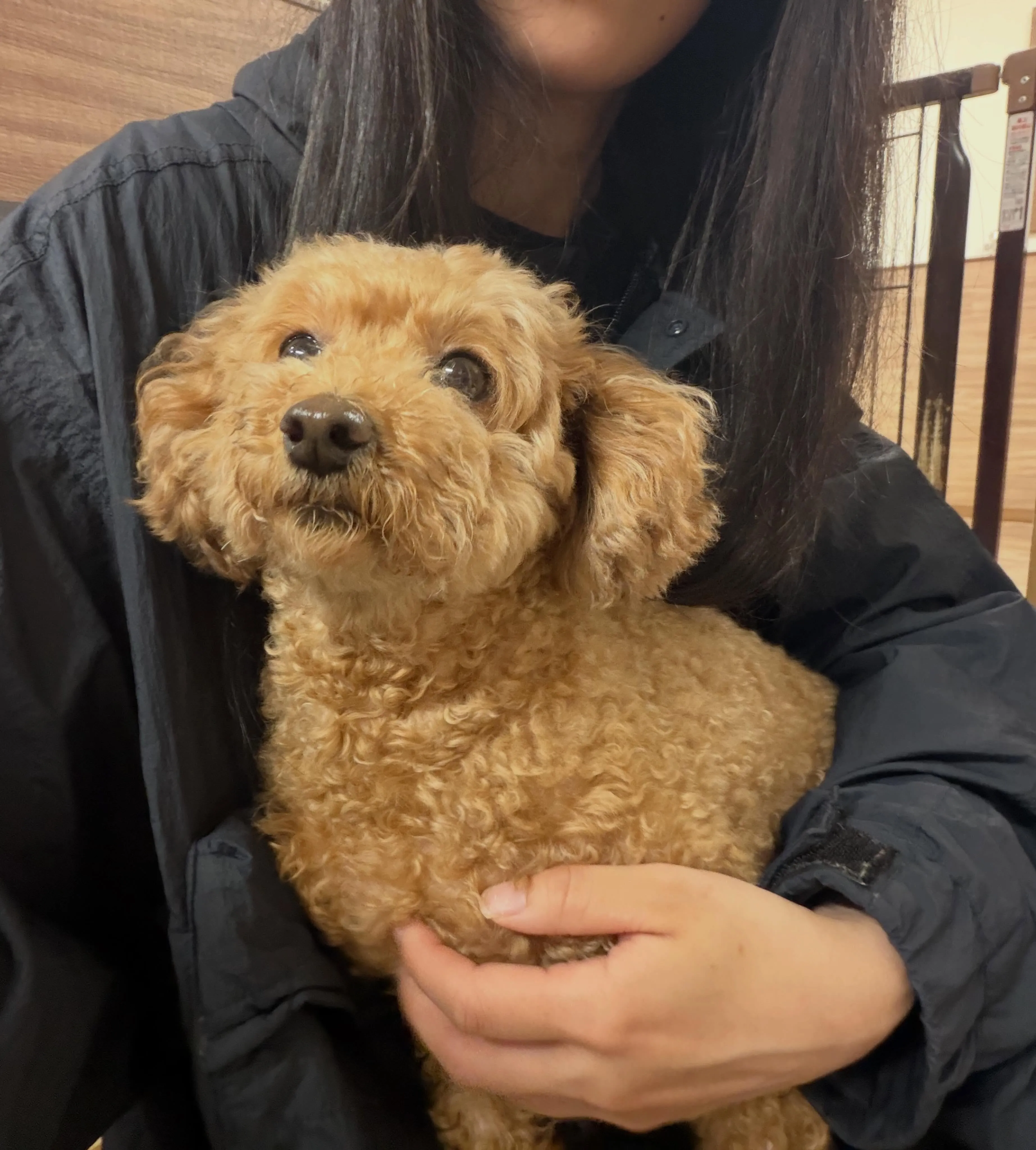 入会してくれたりんちゃんです☺️