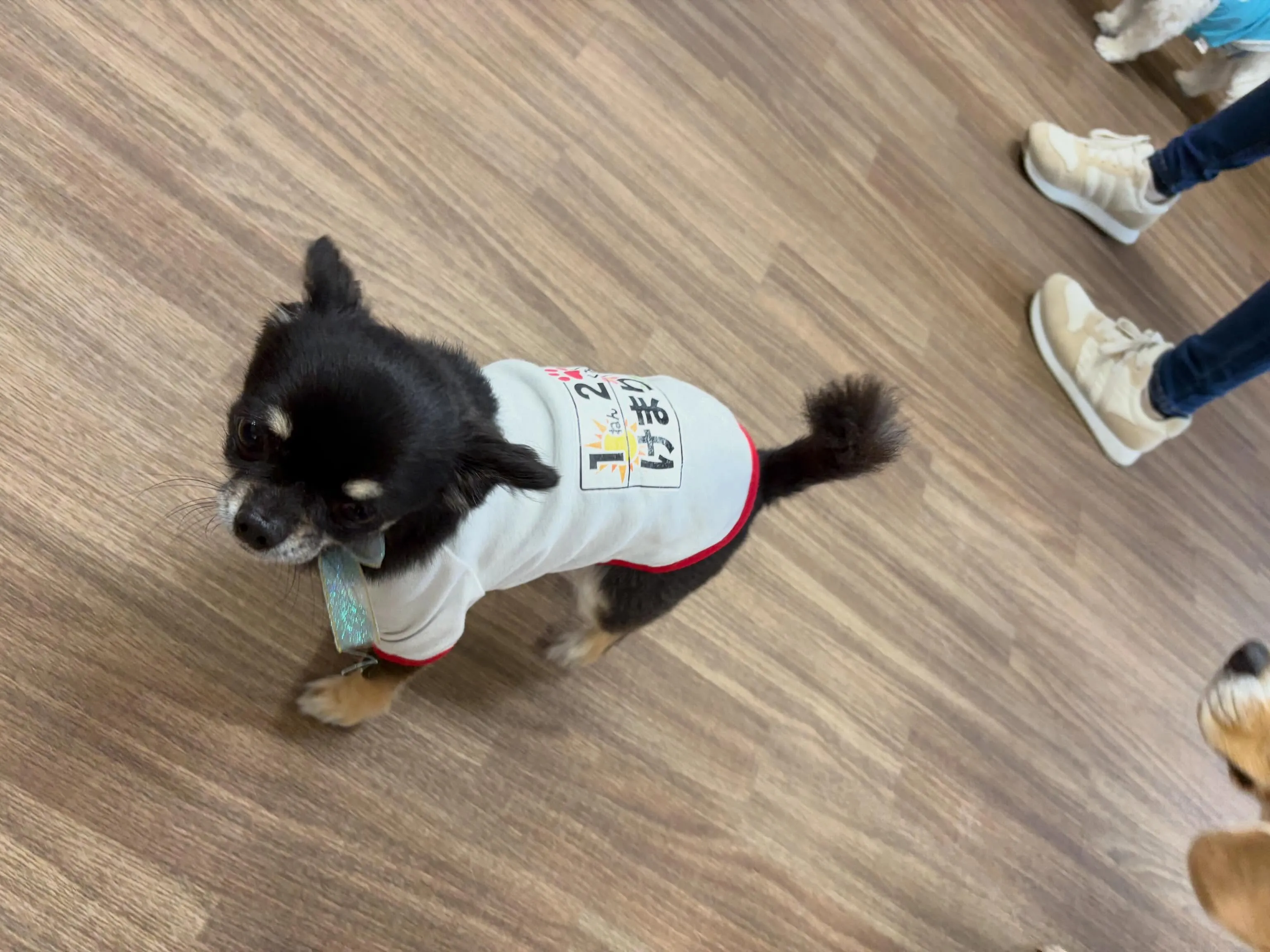 ようやく!