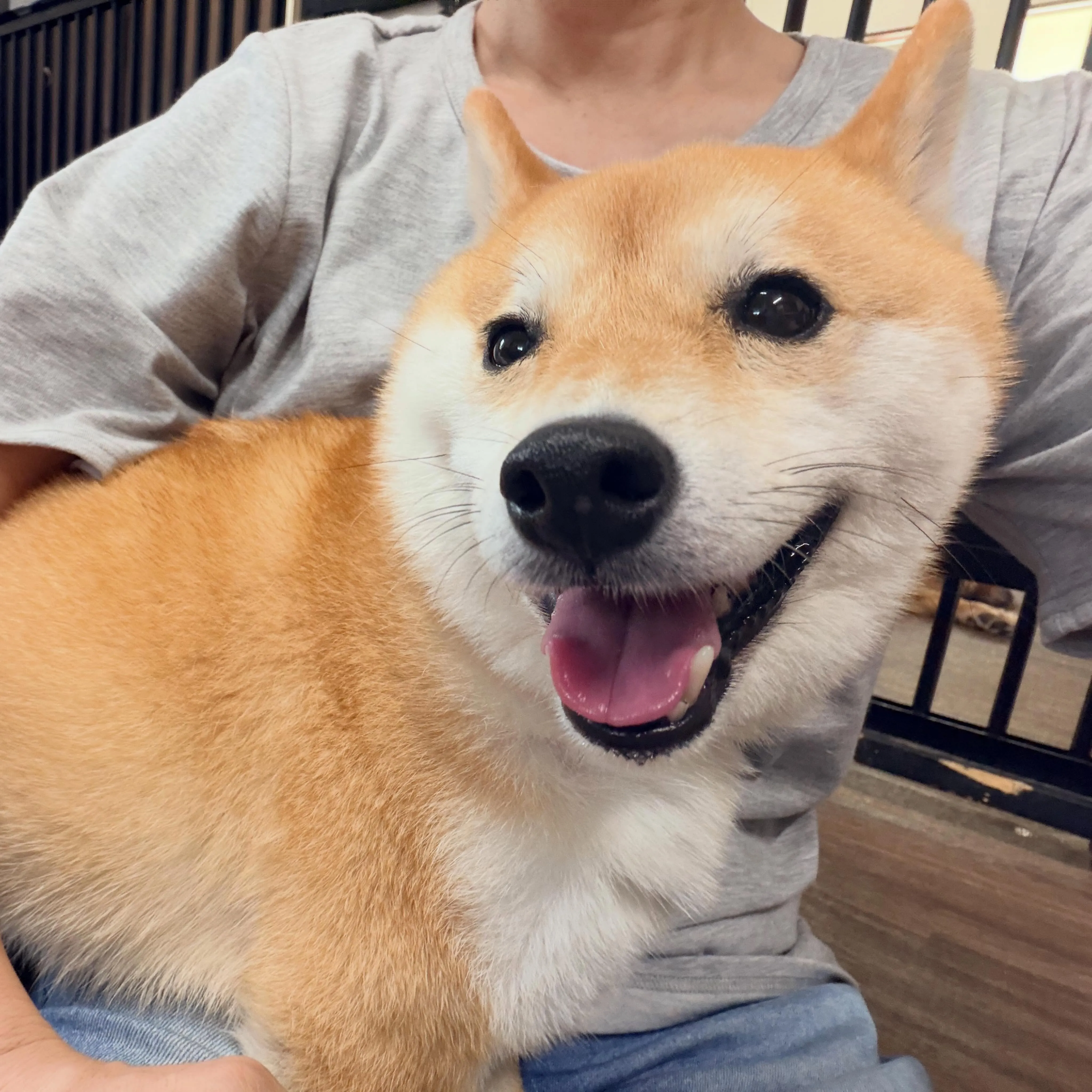 入会してくれた琥珀くんです✨