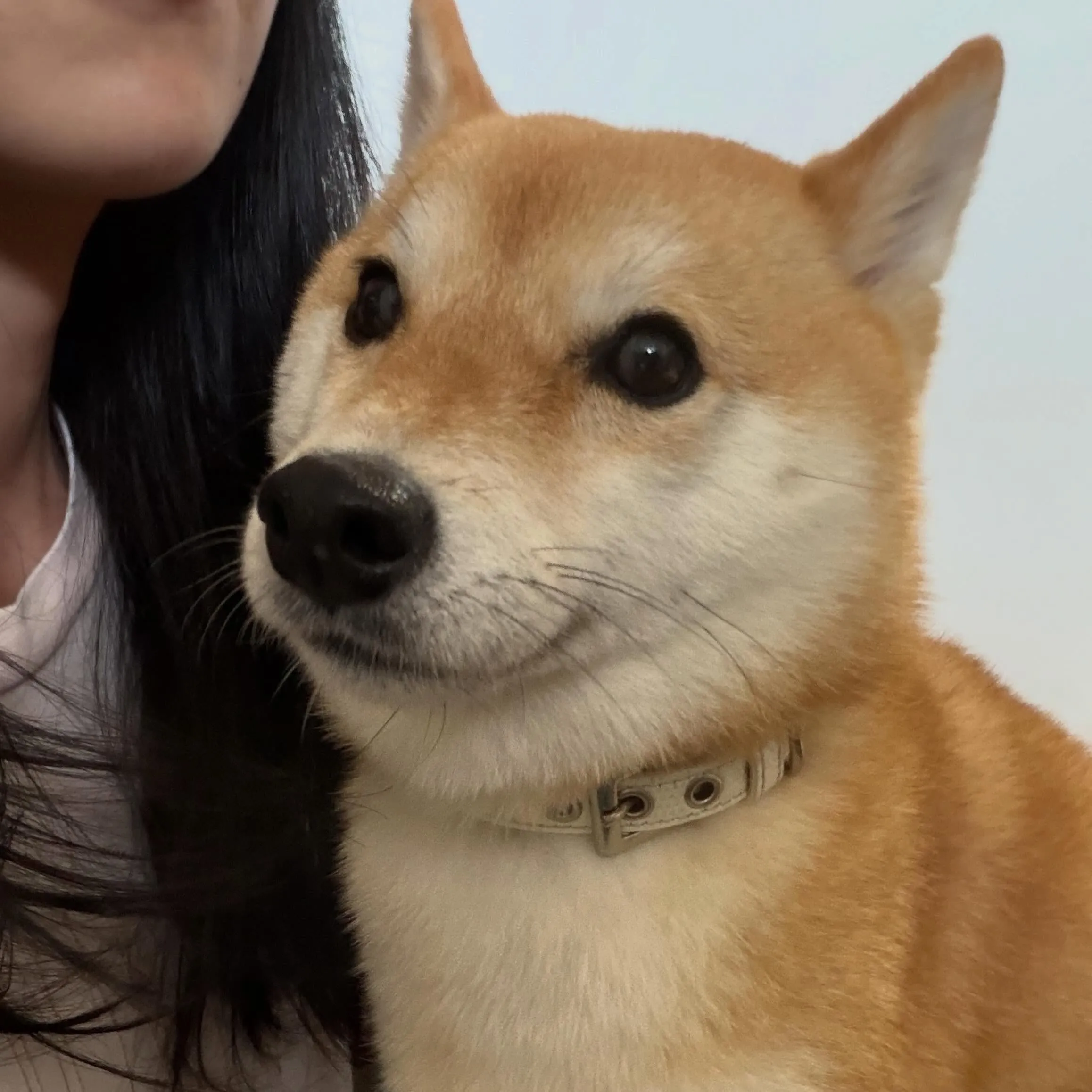 入会してくれた琥珀くんです✨